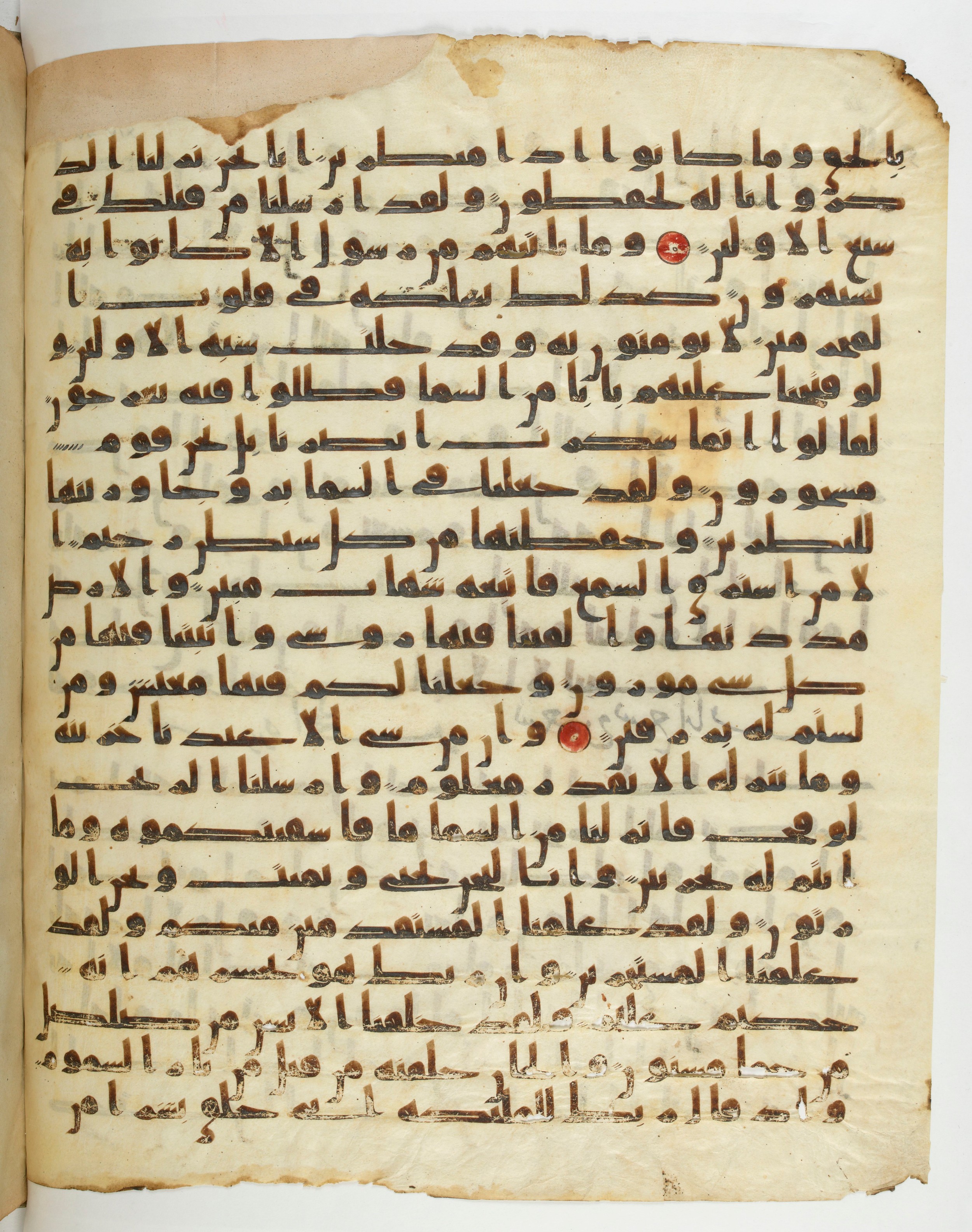 Paris, Bibliothèque nationale de France, Arabe 332, in Kūfī type C.Ia (influenced by Ḥiǧāzī IV and Kūfī B.I) script, showing Surah 15:13 from 8th Century AD found in Fustat (Old Cairo), Egypt, currently housed at Bibliothèque nationale de France, Paris