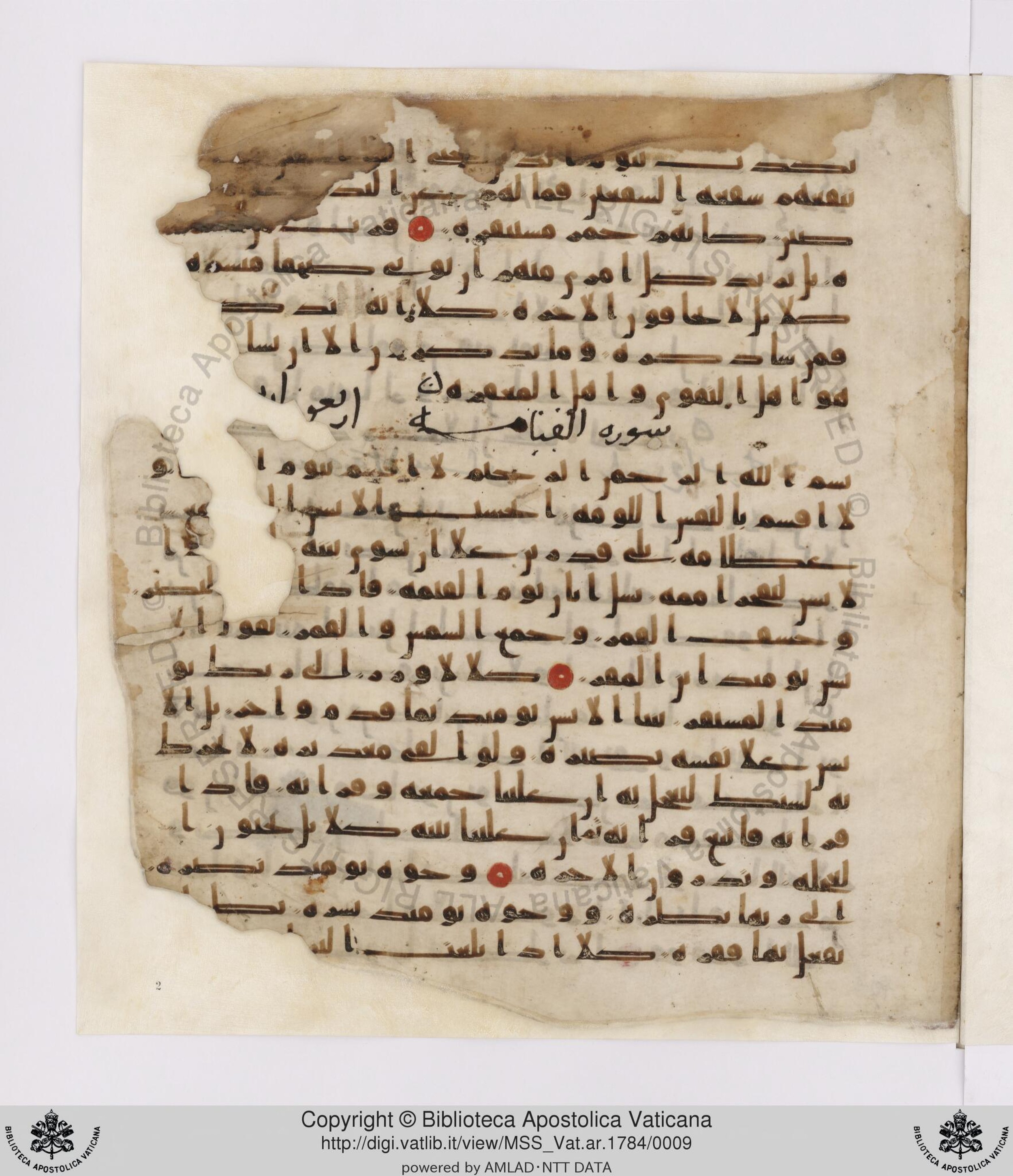 Paris, Bibliothèque nationale de France, Arabe 332, in Kūfī type C.Ia (influenced by Ḥiǧāzī IV and Kūfī B.I) script, showing Surah 75:21 from 8th Century AD found in Fustat (Old Cairo), Egypt, currently housed at Bibliothèque nationale de France, Paris