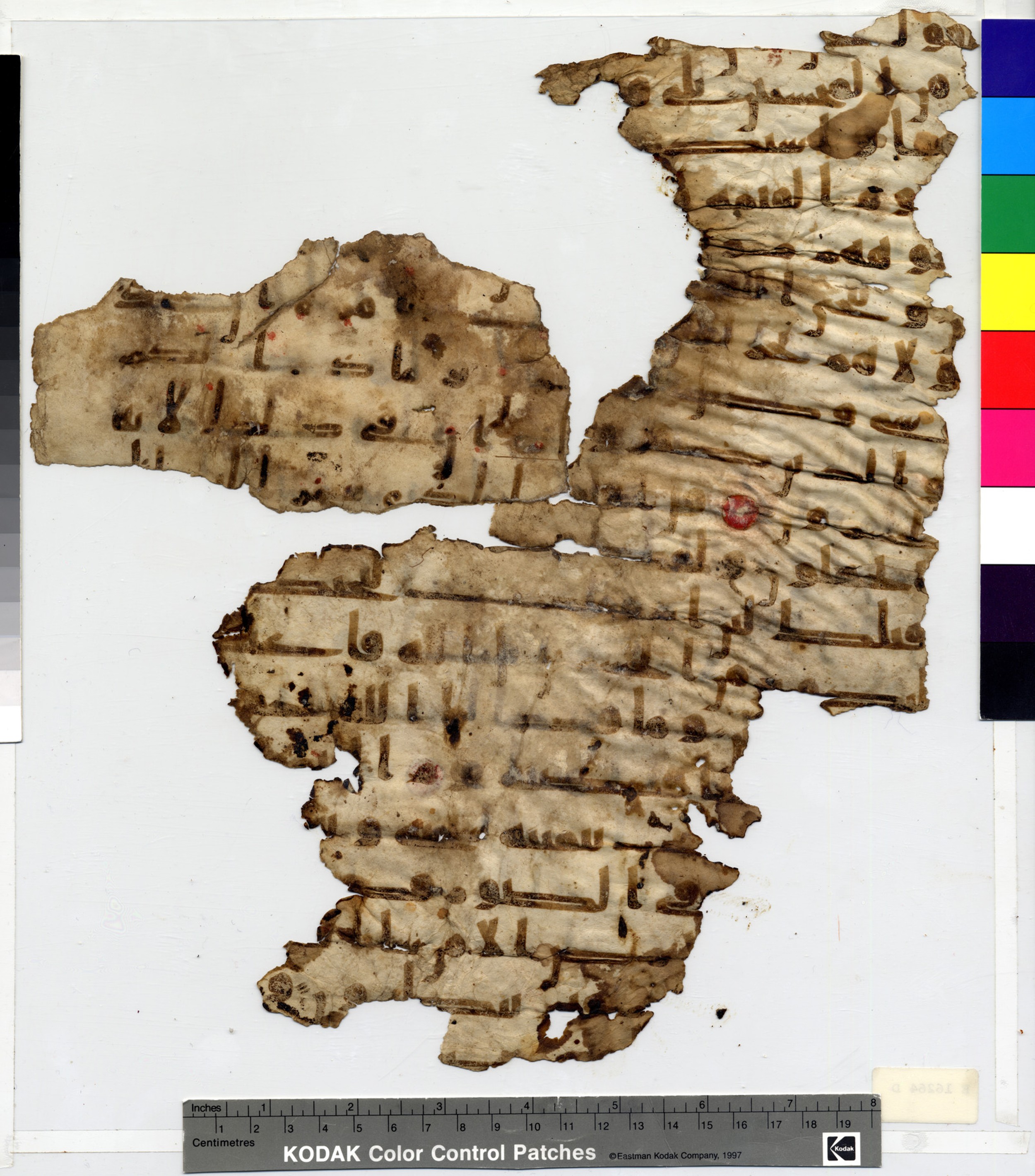 Paris, Bibliothèque nationale de France, Arabe 332 (Scan 1), in Kūfī type C.Ia (influenced by Ḥiǧāzī IV and Kūfī B.I) script, showing Surah 16:13 from 8th Century AD found in Fustat (Old Cairo), Egypt, currently housed at Bibliothèque nationale de France, Paris