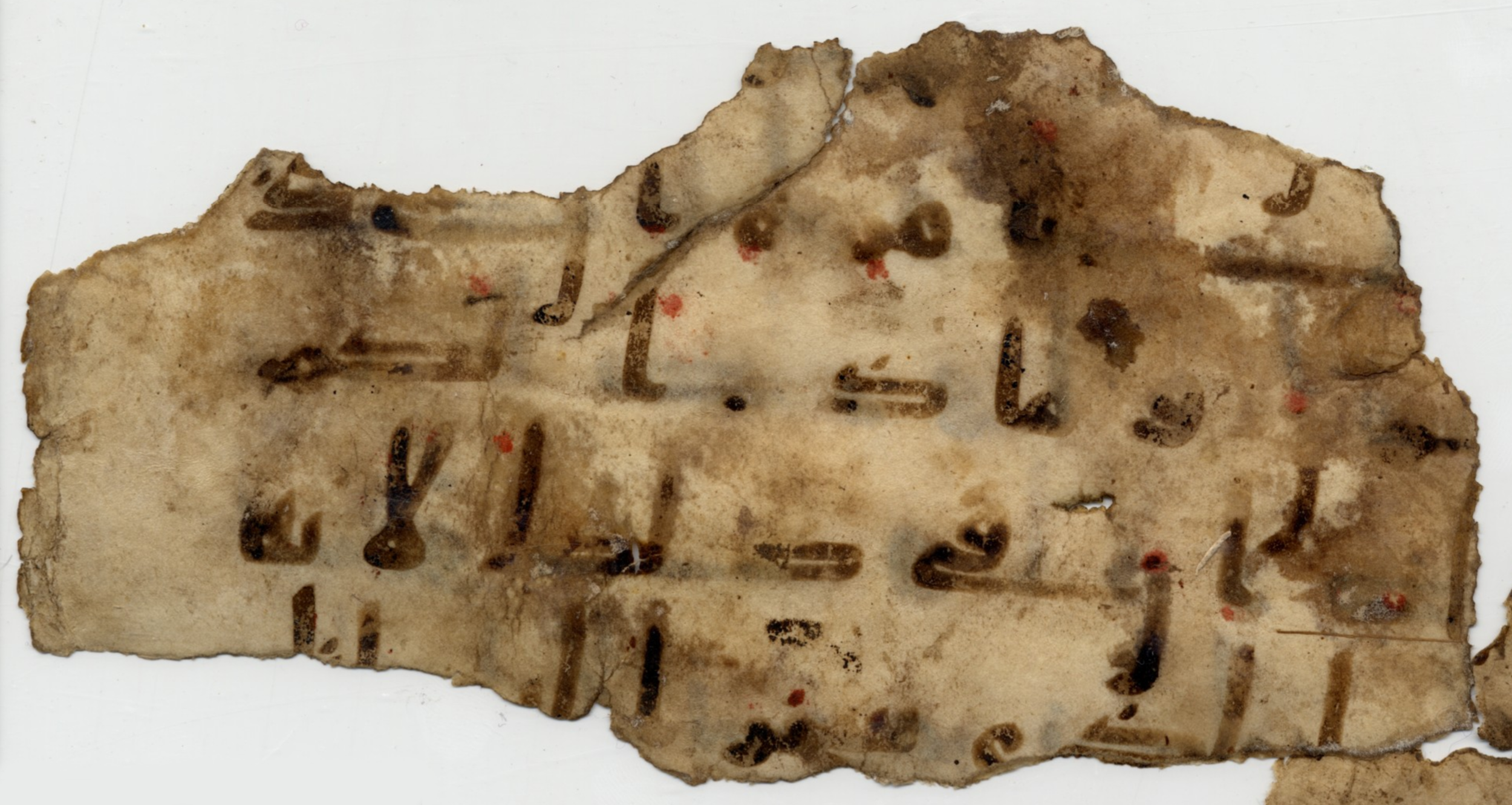 Paris, Bibliothèque nationale de France, Arabe 332 (Scan 2), in Kūfī type C.Ia (influenced by Ḥiǧāzī IV and Kūfī B.I) script, showing Surah 16:13 from 8th Century AD found in Fustat (Old Cairo), Egypt, currently housed at Bibliothèque nationale de France, Paris