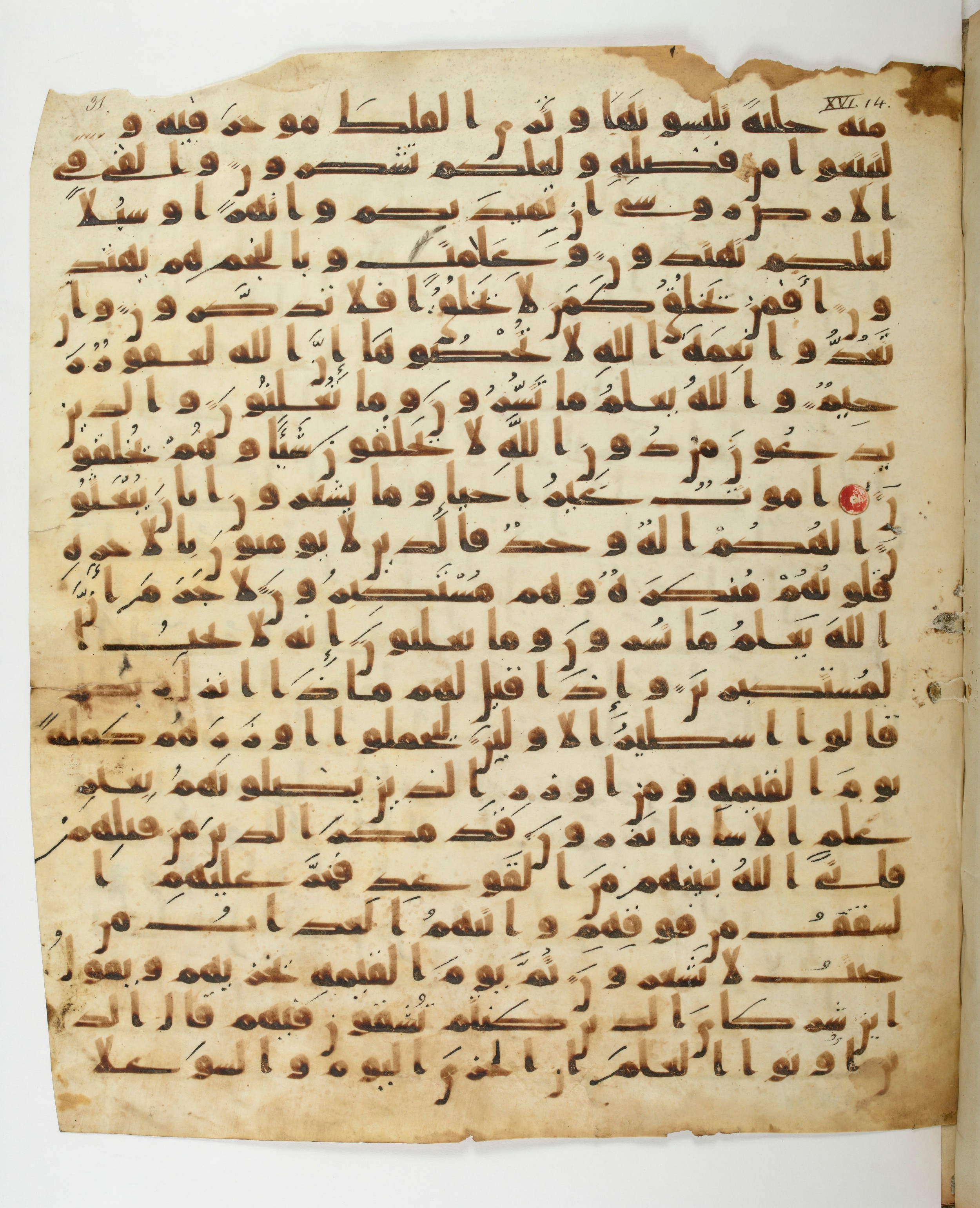 Paris, Bibliothèque nationale de France, Arabe 332 (Scan 1), in Kūfī type C.Ia (influenced by Ḥiǧāzī IV and Kūfī B.I) script, showing Surah 16:21 from 8th Century AD found in Fustat (Old Cairo), Egypt, currently housed at Bibliothèque nationale de France, Paris
