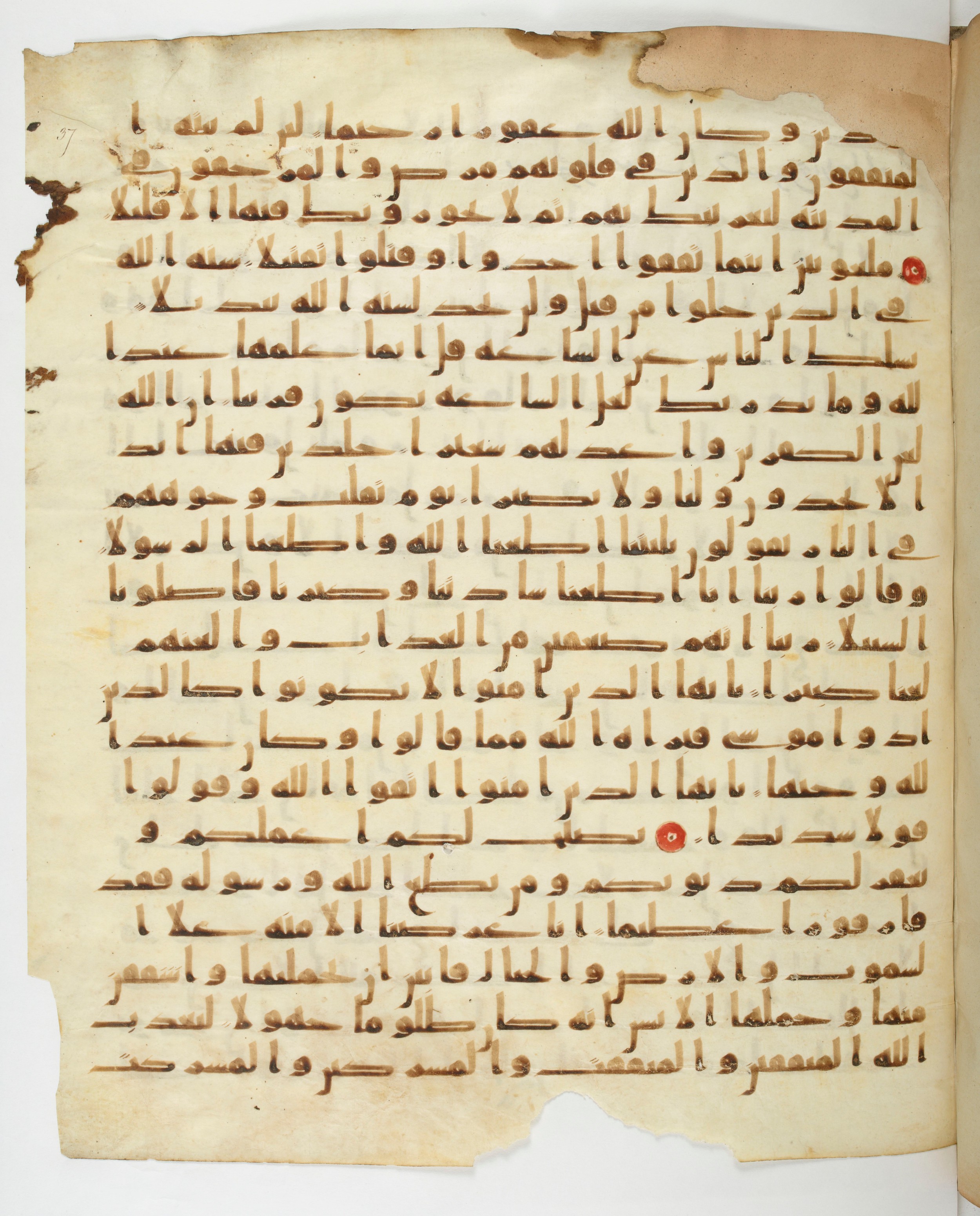 Paris, Bibliothèque nationale de France, Arabe 332 (Scan 1), in Kūfī type C.Ia (influenced by Ḥiǧāzī IV and Kūfī B.I) script, showing Surah 33:64 from 8th Century AD found in Fustat (Old Cairo), Egypt, currently housed at Bibliothèque nationale de France, Paris