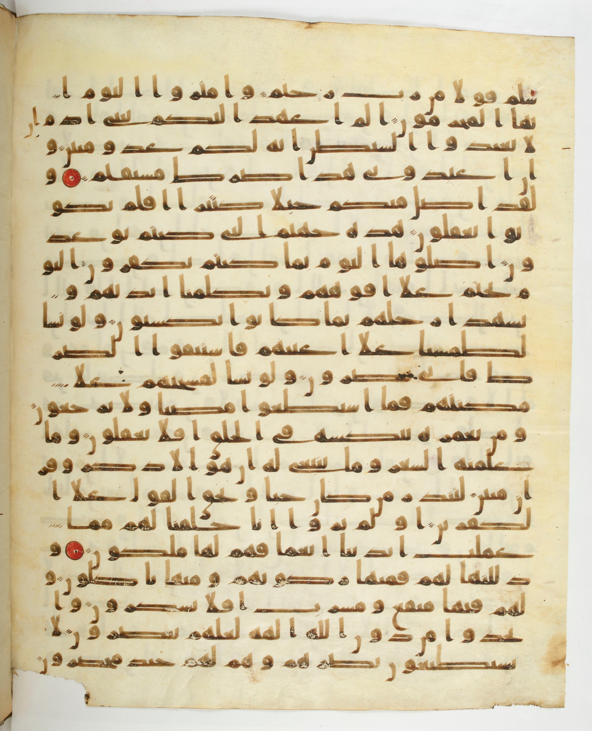 Paris, Bibliothèque nationale de France, Arabe 332, in Kūfī type C.Ia (influenced by Ḥiǧāzī IV and Kūfī B.I) script, showing Surah 36:64 from 8th Century AD found in Fustat (Old Cairo), Egypt, currently housed at Bibliothèque nationale de France, Paris
