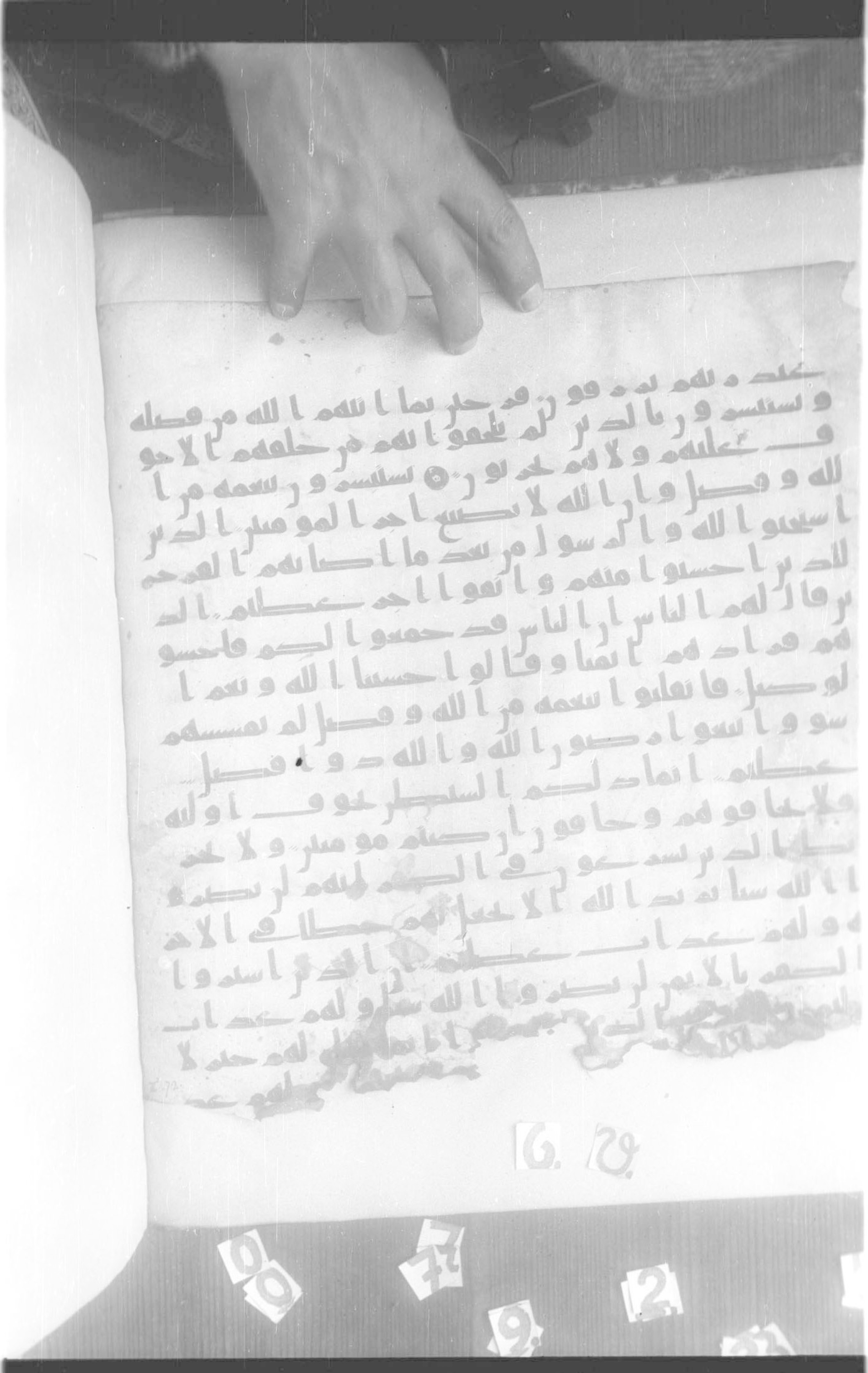 Paris, Bibliothèque nationale de France, Arabe 332 (Scan 1), in Kūfī type C.Ia (influenced by Ḥiǧāzī IV and Kūfī B.I) script, showing Surah 3:175 from 8th Century AD found in Fustat (Old Cairo), Egypt, currently housed at Bibliothèque nationale de France, Paris
