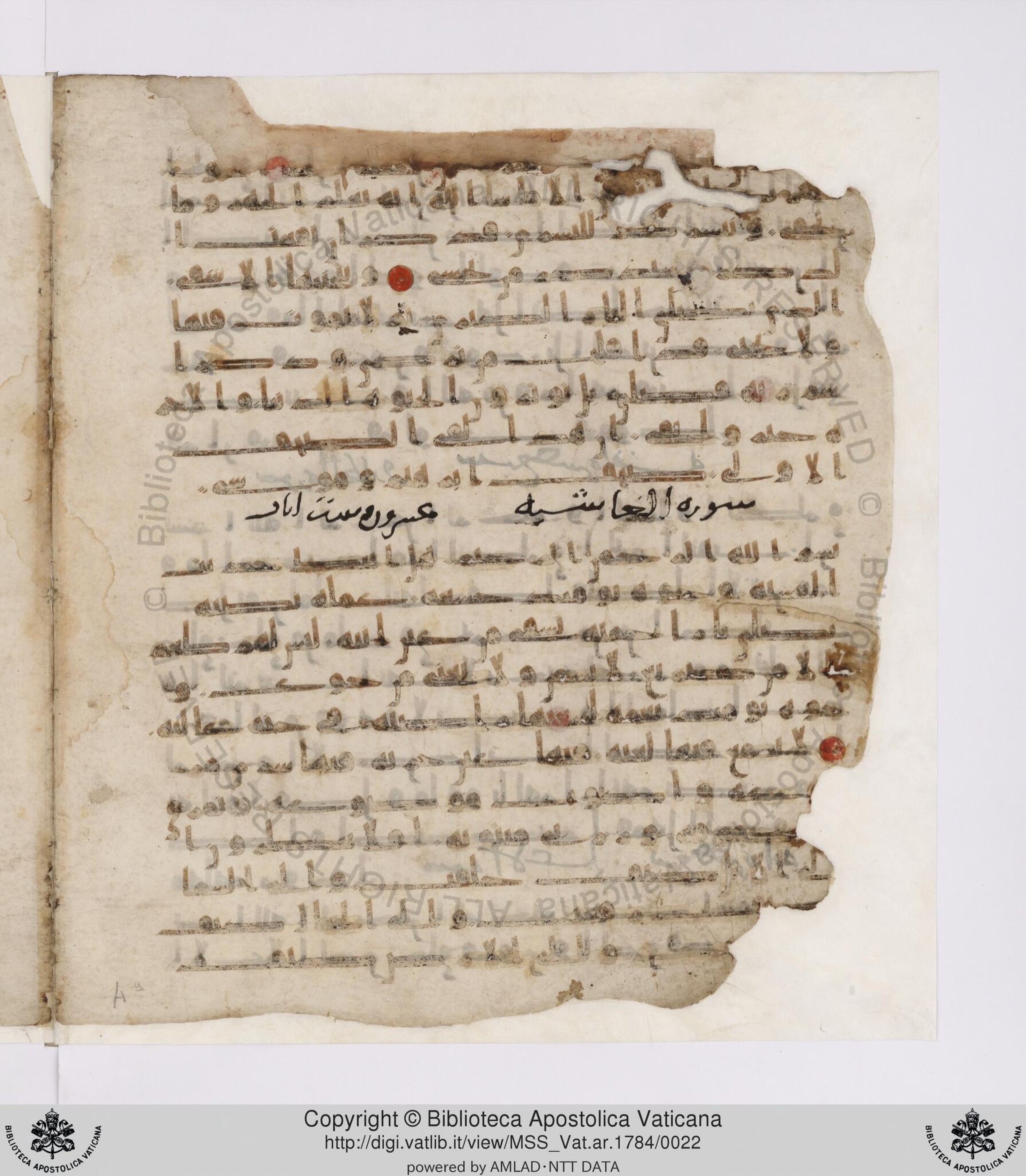 Paris, Bibliothèque nationale de France, Arabe 332, in Kūfī type C.Ia (influenced by Ḥiǧāzī IV and Kūfī B.I) script, showing Surah 87:13 from 8th Century AD found in Fustat (Old Cairo), Egypt, currently housed at Bibliothèque nationale de France, Paris