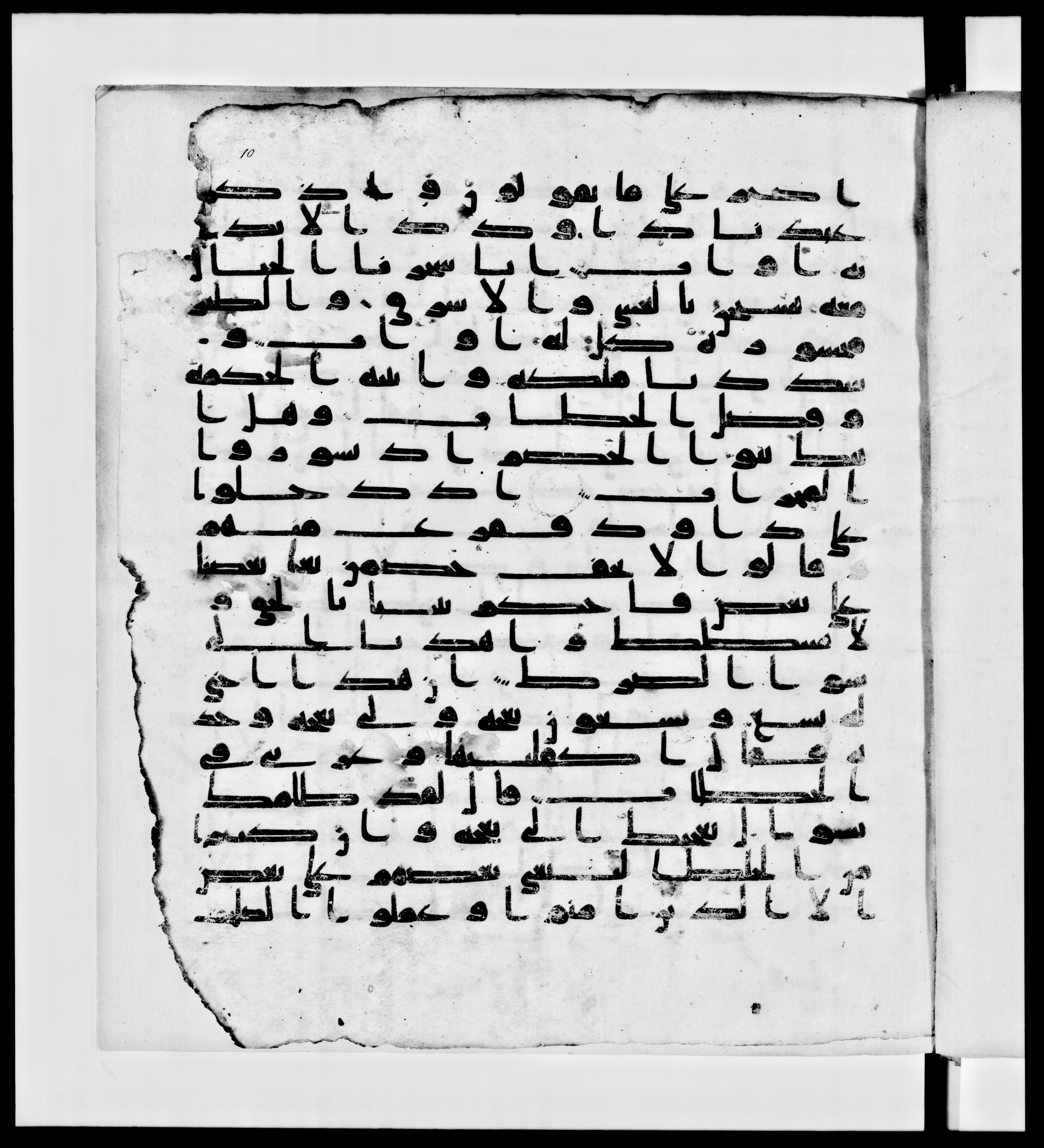 Paris, Bibliothèque nationale de France, Arabe 336, in Kūfī D.IV script, showing Surah 38:21 from Mid 8th to Late 10th Century AD found in Fustat (Old Cairo), Egypt, currently housed at Bibliothèque nationale de France, Paris