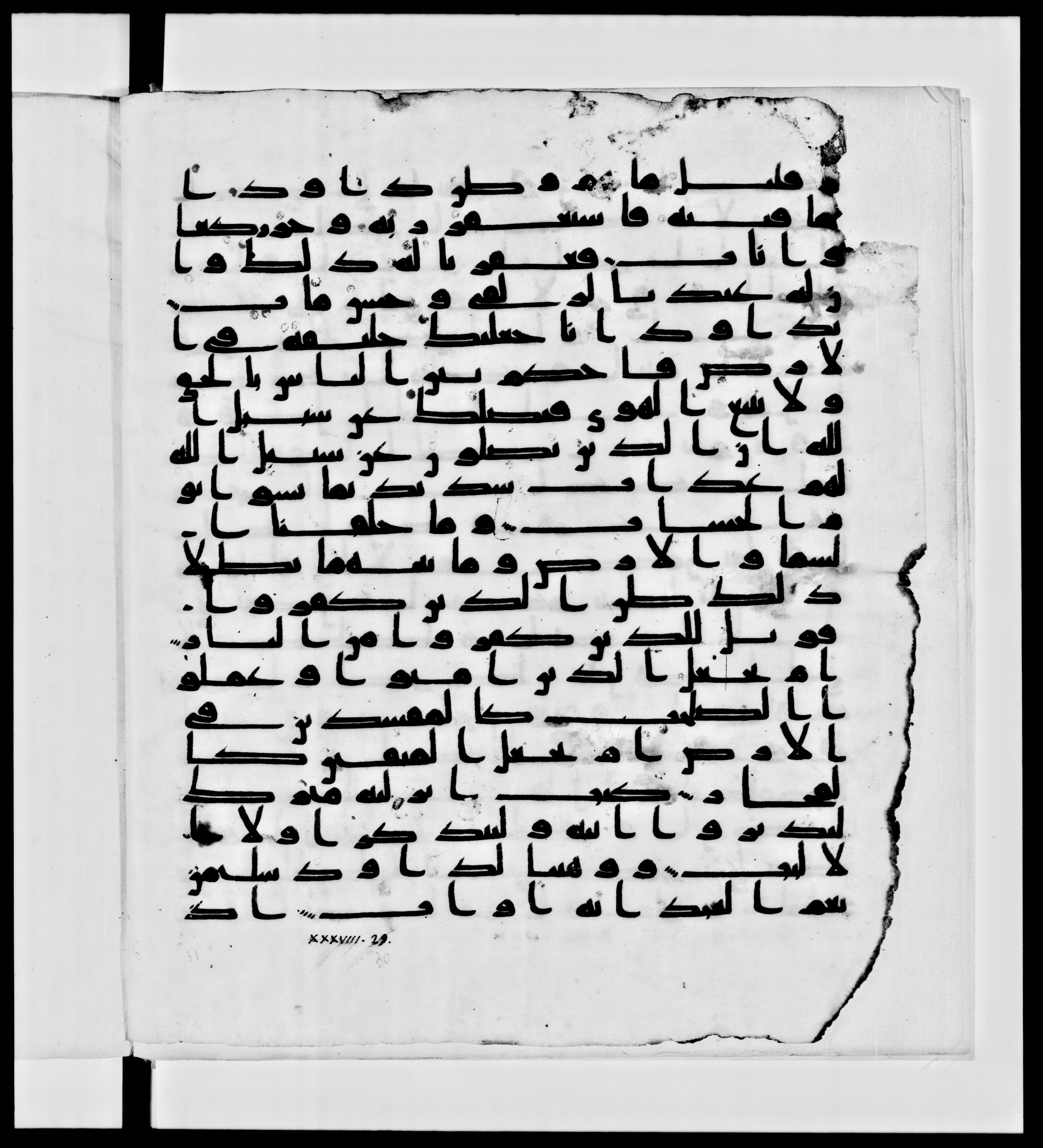 Paris, Bibliothèque nationale de France, Arabe 336, in Kūfī D.IV script, showing Surah 38:30 from Mid 8th to Late 10th Century AD found in Fustat (Old Cairo), Egypt, currently housed at Bibliothèque nationale de France, Paris