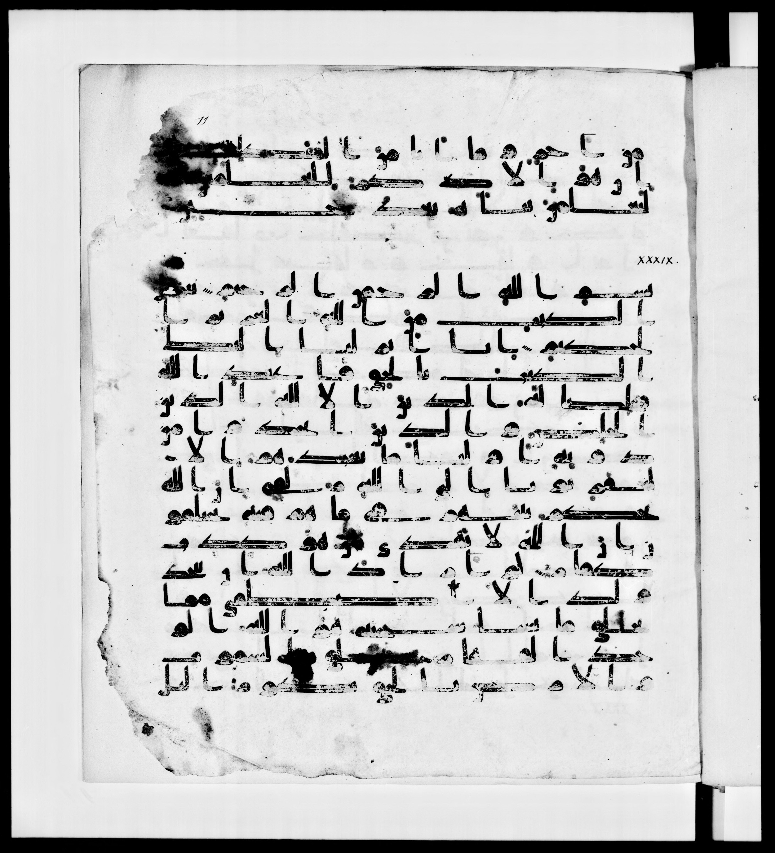 Paris, Bibliothèque nationale de France, Arabe 336, in Kūfī D.IV script, showing Surah 39:4 from Mid 8th to Late 10th Century AD found in Fustat (Old Cairo), Egypt, currently housed at Bibliothèque nationale de France, Paris