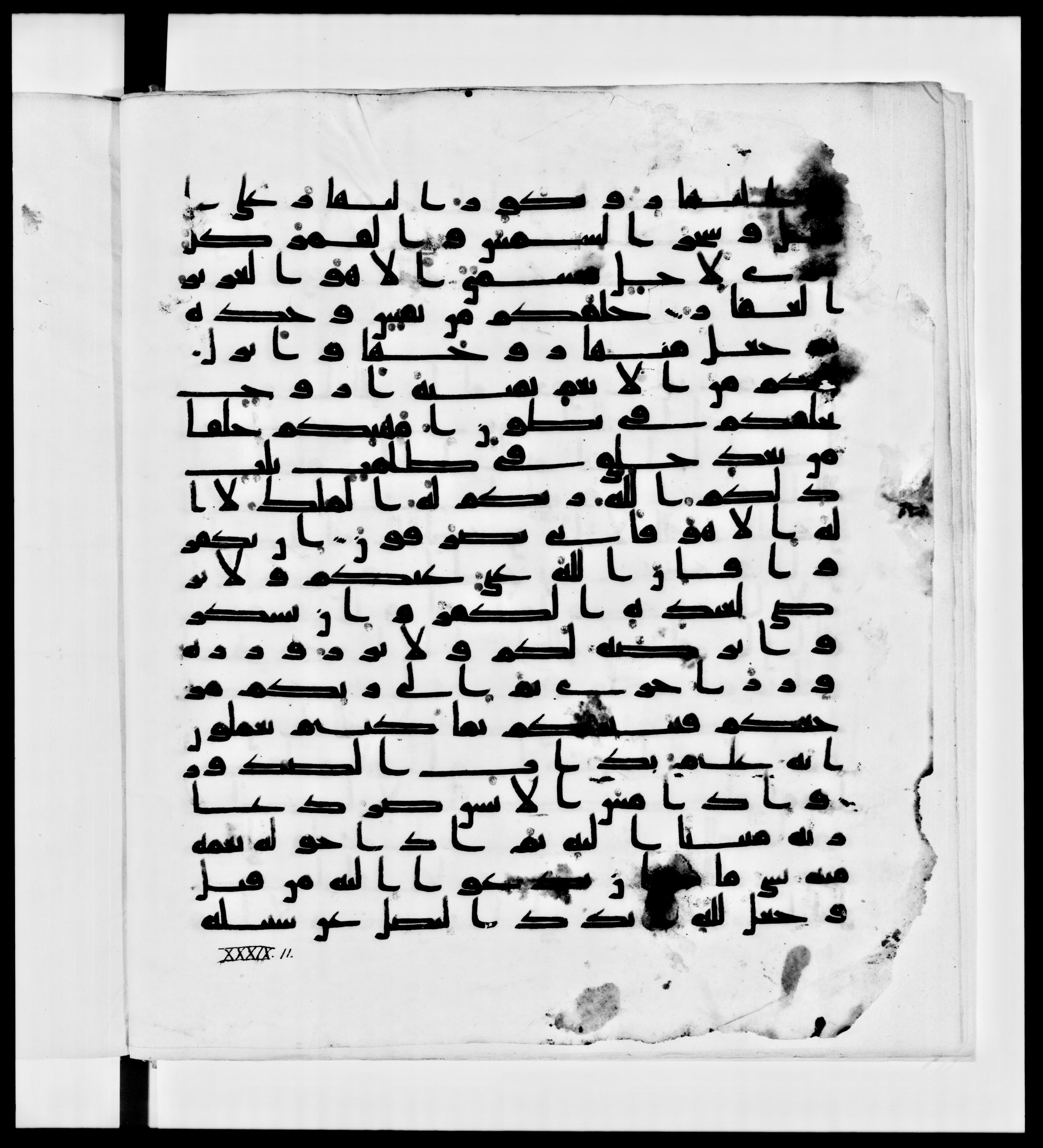Paris, Bibliothèque nationale de France, Arabe 336, in Kūfī D.IV script, showing Surah 39:7 from Mid 8th to Late 10th Century AD found in Fustat (Old Cairo), Egypt, currently housed at Bibliothèque nationale de France, Paris