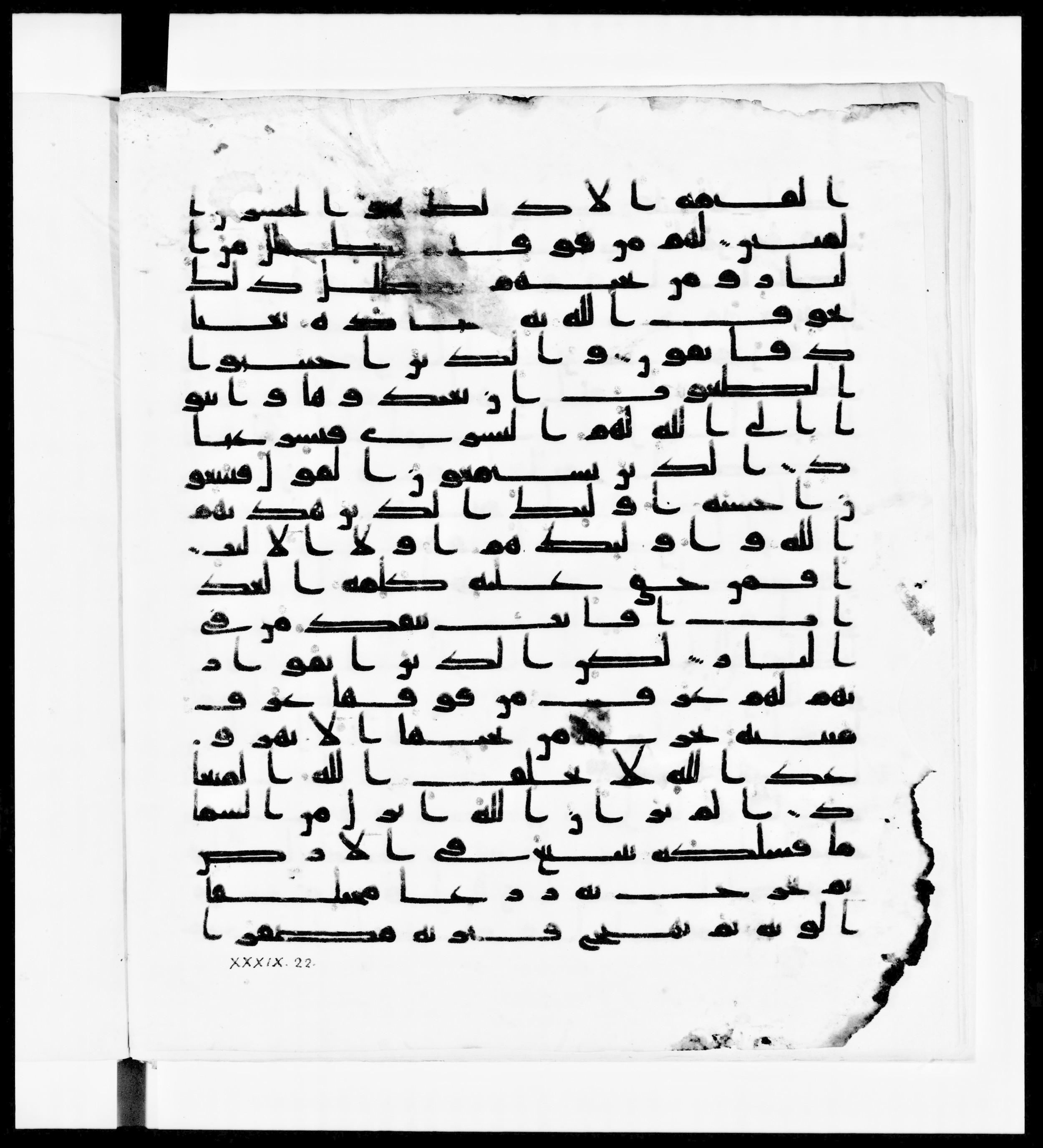Paris, Bibliothèque nationale de France, Arabe 336, in Kūfī D.IV script, showing Surah 39:17 from Mid 8th to Late 10th Century AD found in Fustat (Old Cairo), Egypt, currently housed at Bibliothèque nationale de France, Paris