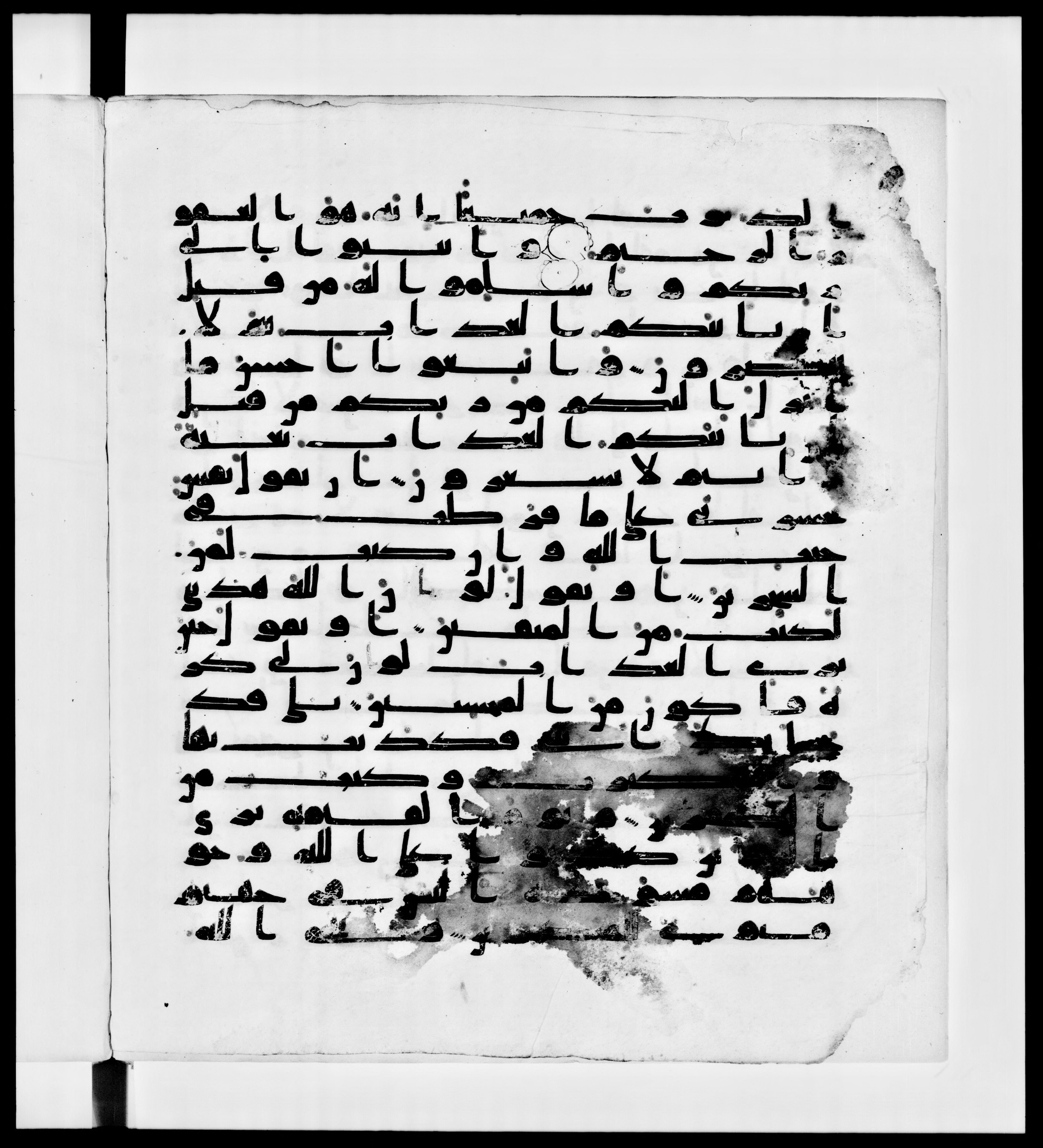 Paris, Bibliothèque nationale de France, Arabe 336 (Scan 2), in Kūfī D.IV script, showing Surah 39:53 from Mid 8th to Late 10th Century AD found in Fustat (Old Cairo), Egypt, currently housed at Bibliothèque nationale de France, Paris