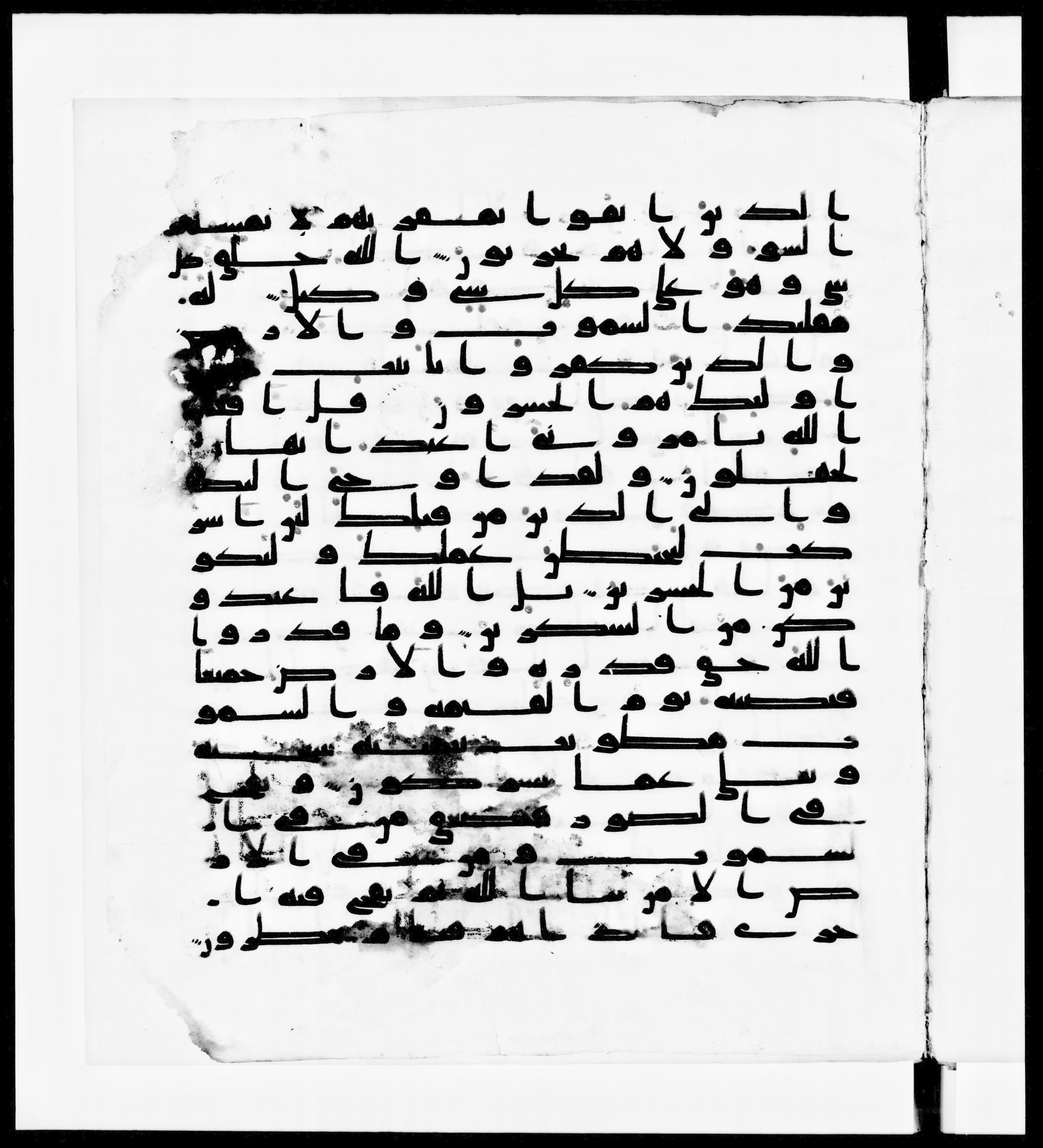 Paris, Bibliothèque nationale de France, Arabe 336, in Kūfī D.IV script, showing Surah 39:64 from Mid 8th to Late 10th Century AD found in Fustat (Old Cairo), Egypt, currently housed at Bibliothèque nationale de France, Paris