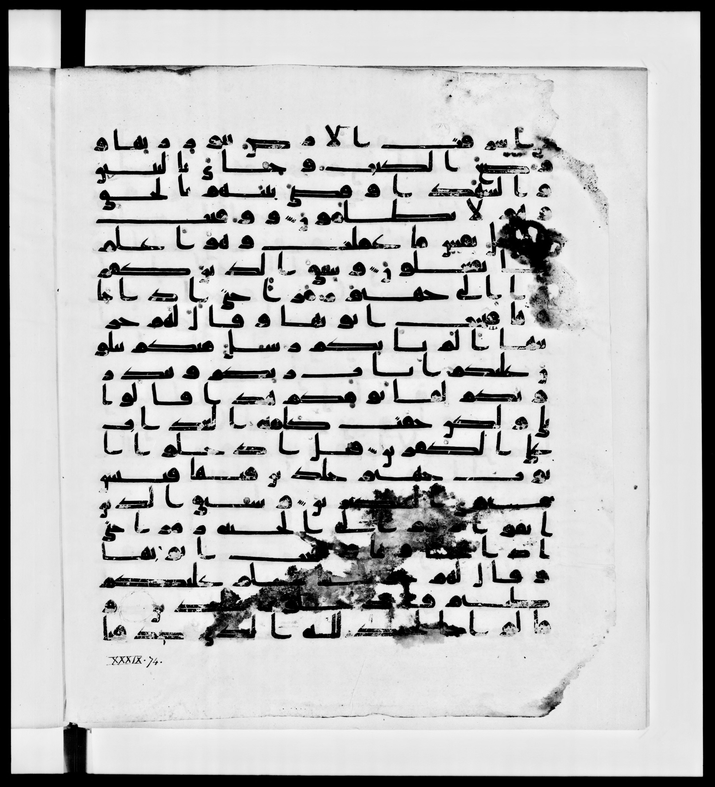 Paris, Bibliothèque nationale de France, Arabe 336, in Kūfī D.IV script, showing Surah 39:73 from Mid 8th to Late 10th Century AD found in Fustat (Old Cairo), Egypt, currently housed at Bibliothèque nationale de France, Paris