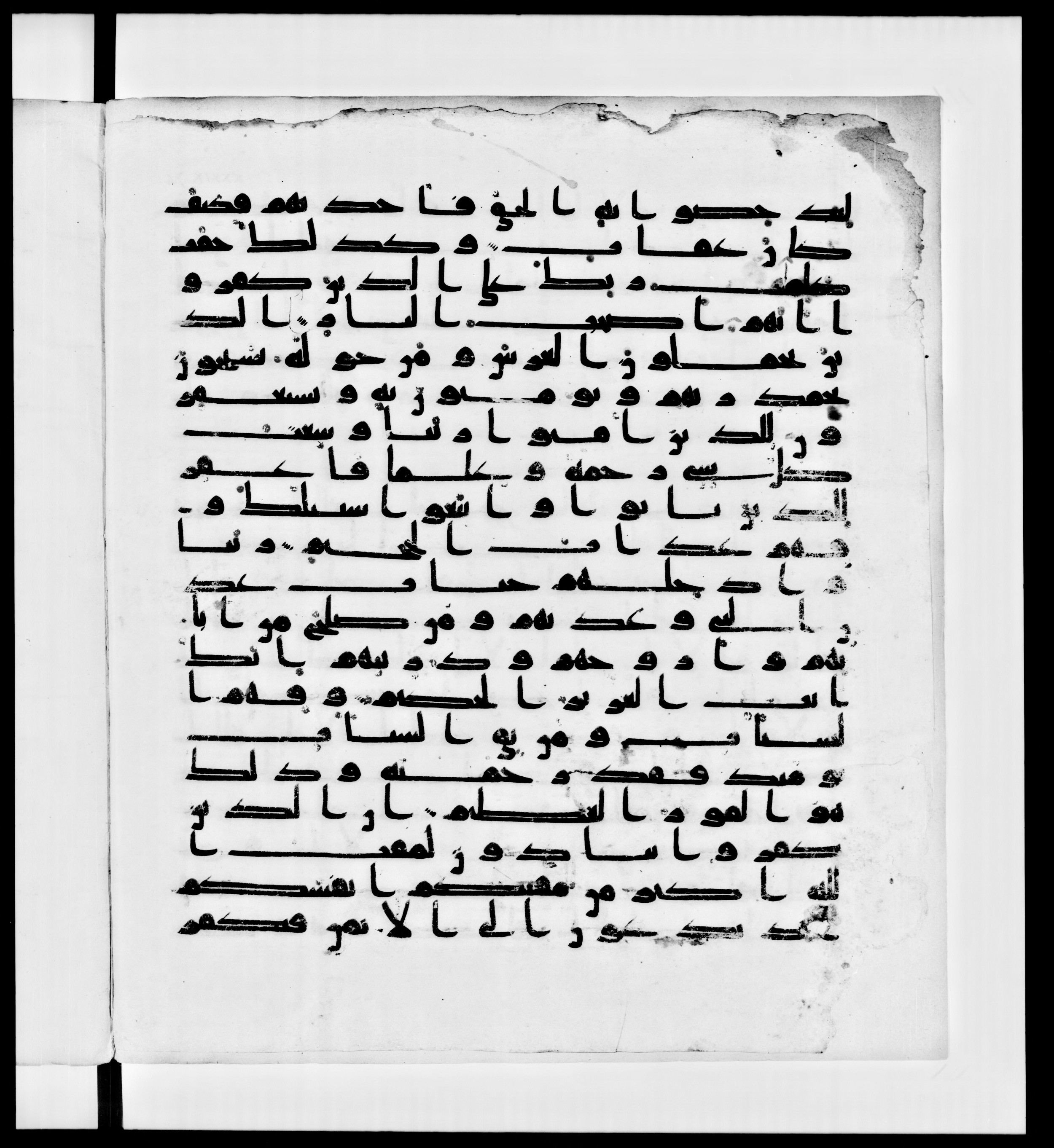 Paris, Bibliothèque nationale de France, Arabe 336, in Kūfī D.IV script, showing Surah 40:8 from Mid 8th to Late 10th Century AD found in Fustat (Old Cairo), Egypt, currently housed at Bibliothèque nationale de France, Paris