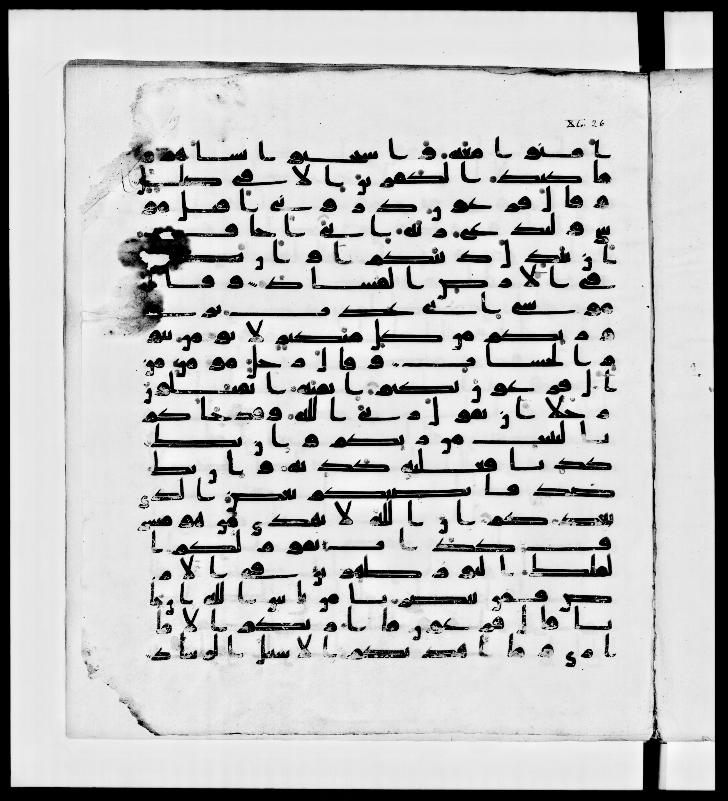 Paris, Bibliothèque nationale de France, Arabe 336, in Kūfī D.IV script, showing Surah 40:28 from Mid 8th to Late 10th Century AD found in Fustat (Old Cairo), Egypt, currently housed at Bibliothèque nationale de France, Paris