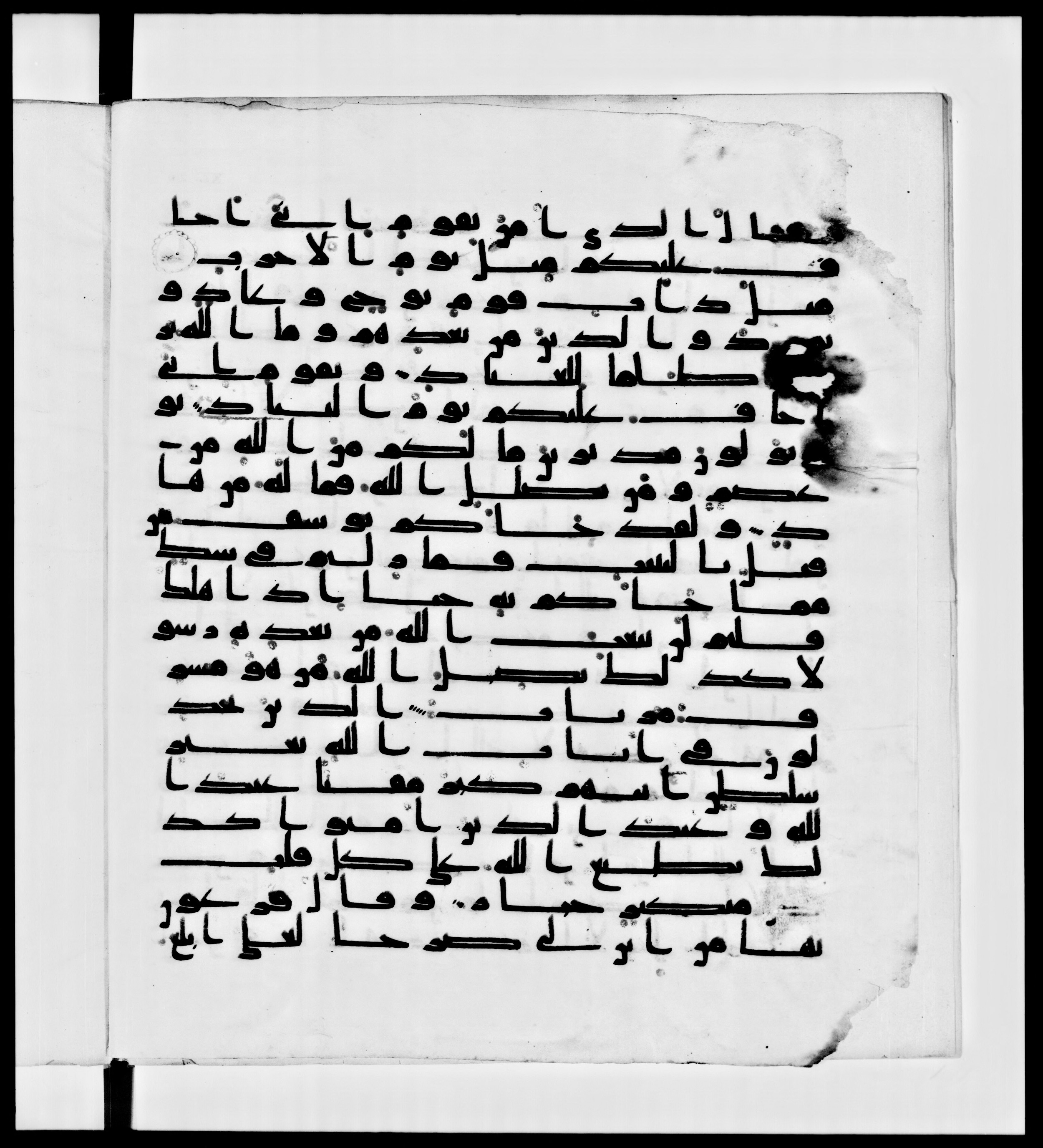 Paris, Bibliothèque nationale de France, Arabe 336, in Kūfī D.IV script, showing Surah 40:33 from Mid 8th to Late 10th Century AD found in Fustat (Old Cairo), Egypt, currently housed at Bibliothèque nationale de France, Paris
