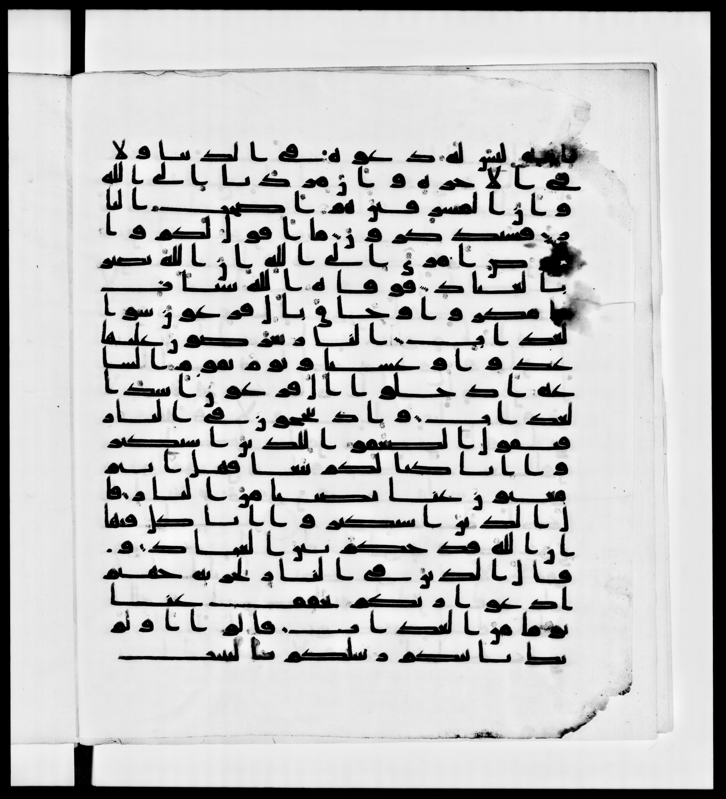 Paris, Bibliothèque nationale de France, Arabe 336, in Kūfī D.IV script, showing Surah 40:49 from Mid 8th to Late 10th Century AD found in Fustat (Old Cairo), Egypt, currently housed at Bibliothèque nationale de France, Paris