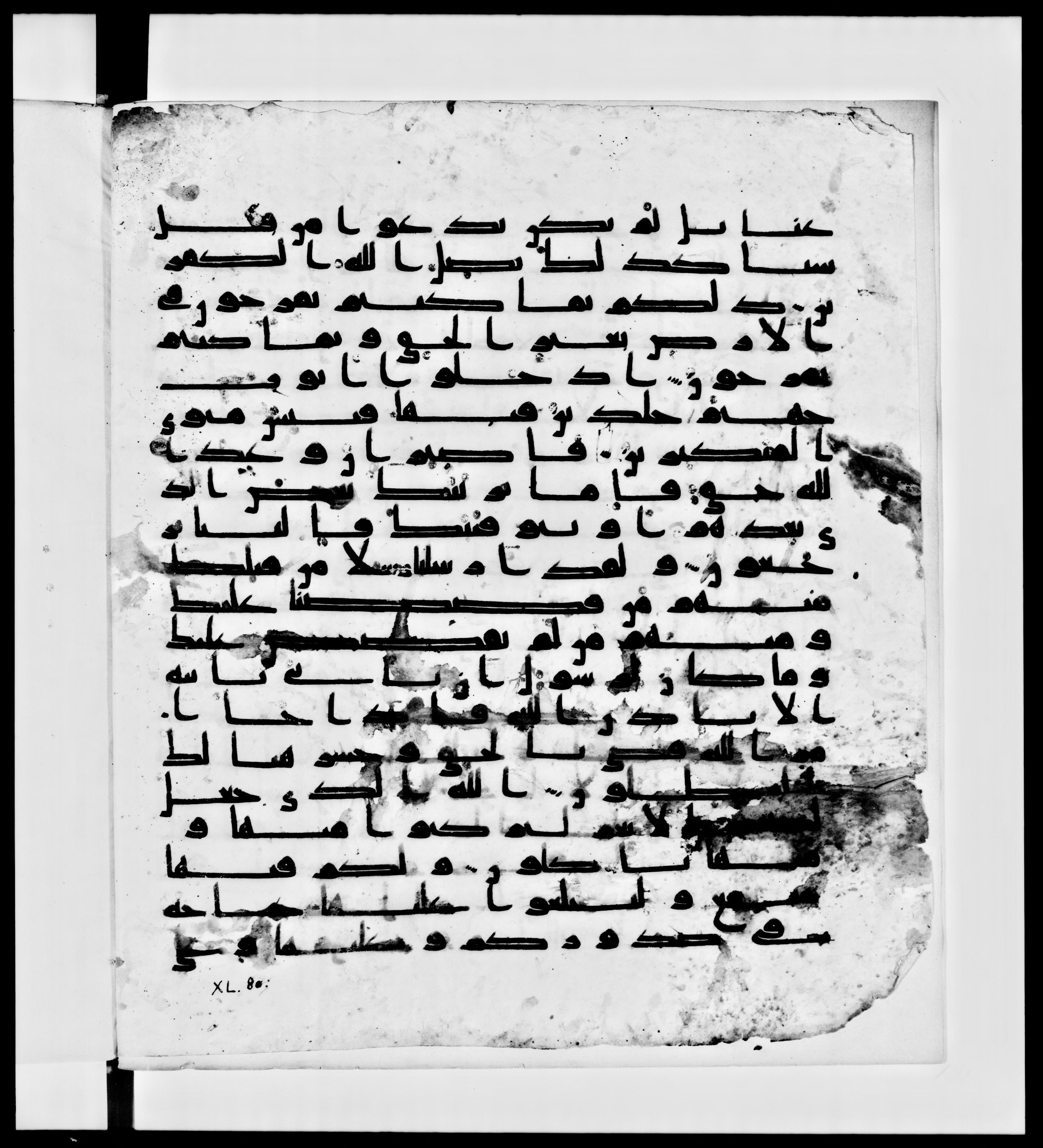 Paris, Bibliothèque nationale de France, Arabe 336 (Scan 2), in Kūfī D.IV script, showing Surah 40:74 from Mid 8th to Late 10th Century AD found in Fustat (Old Cairo), Egypt, currently housed at Bibliothèque nationale de France, Paris
