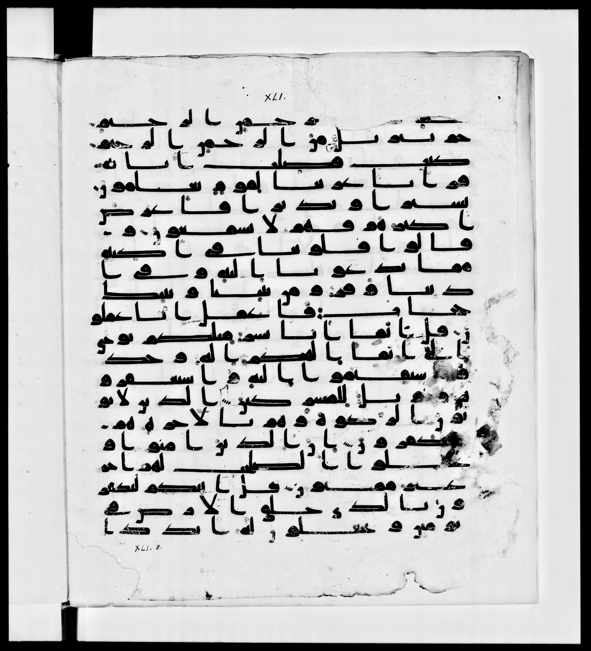 Paris, Bibliothèque nationale de France, Arabe 336, in Kūfī D.IV script, showing Surah 41:2 from Mid 8th to Late 10th Century AD found in Fustat (Old Cairo), Egypt, currently housed at Bibliothèque nationale de France, Paris