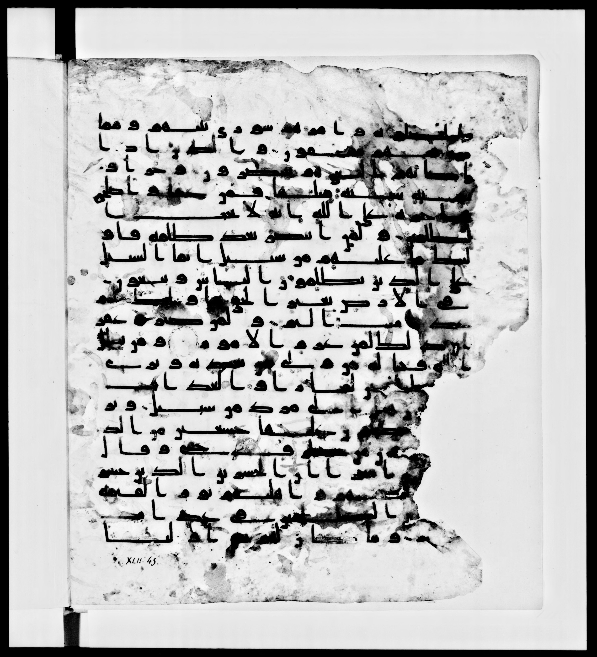 Paris, Bibliothèque nationale de France, Arabe 336, in Kūfī D.IV script, showing Surah 42:39 from Mid 8th to Late 10th Century AD found in Fustat (Old Cairo), Egypt, currently housed at Bibliothèque nationale de France, Paris