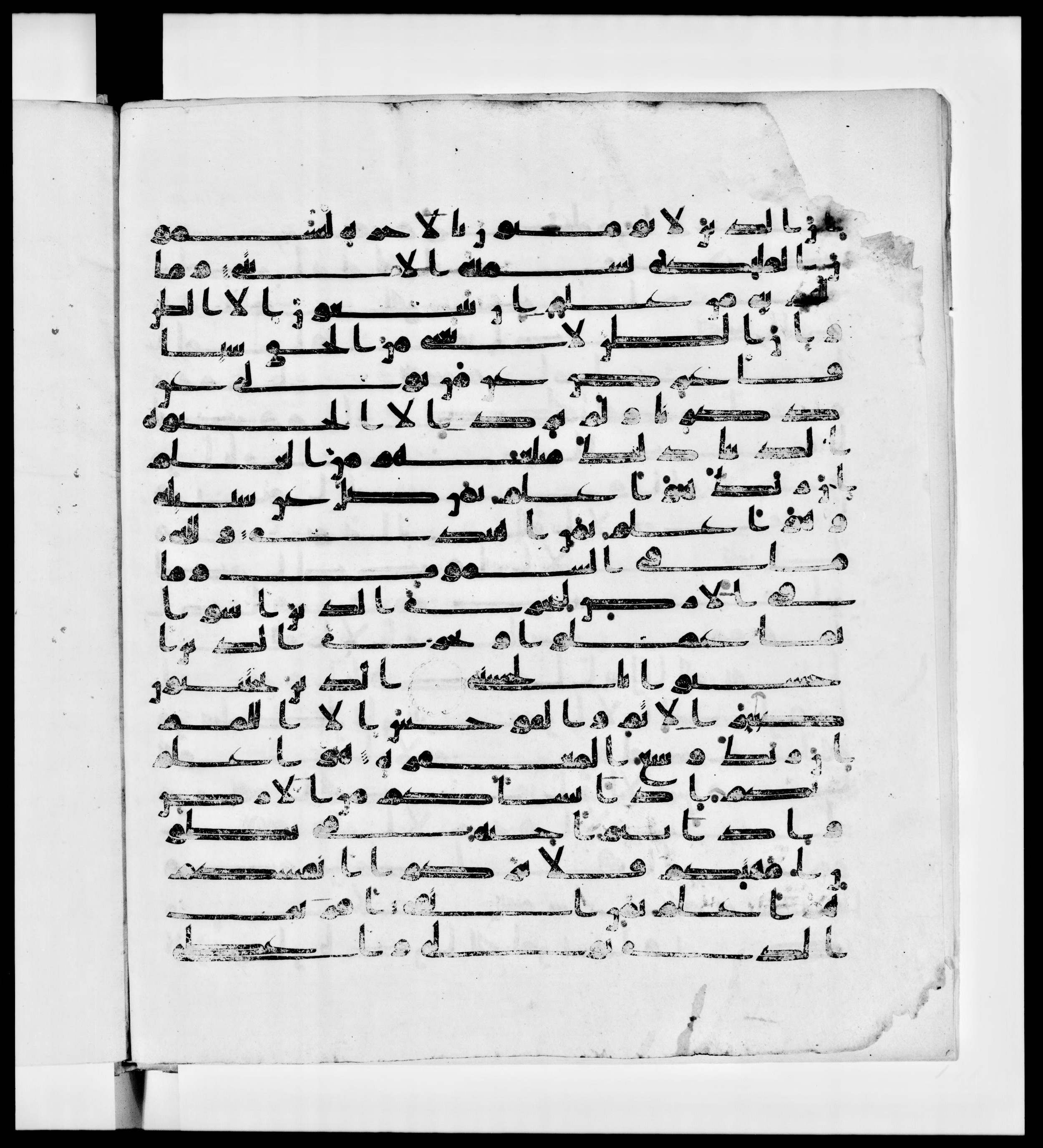 Paris, Bibliothèque nationale de France, Arabe 336, in Kūfī D.IV script, showing Surah 53:32 from Mid 8th to Late 10th Century AD found in Fustat (Old Cairo), Egypt, currently housed at Bibliothèque nationale de France, Paris