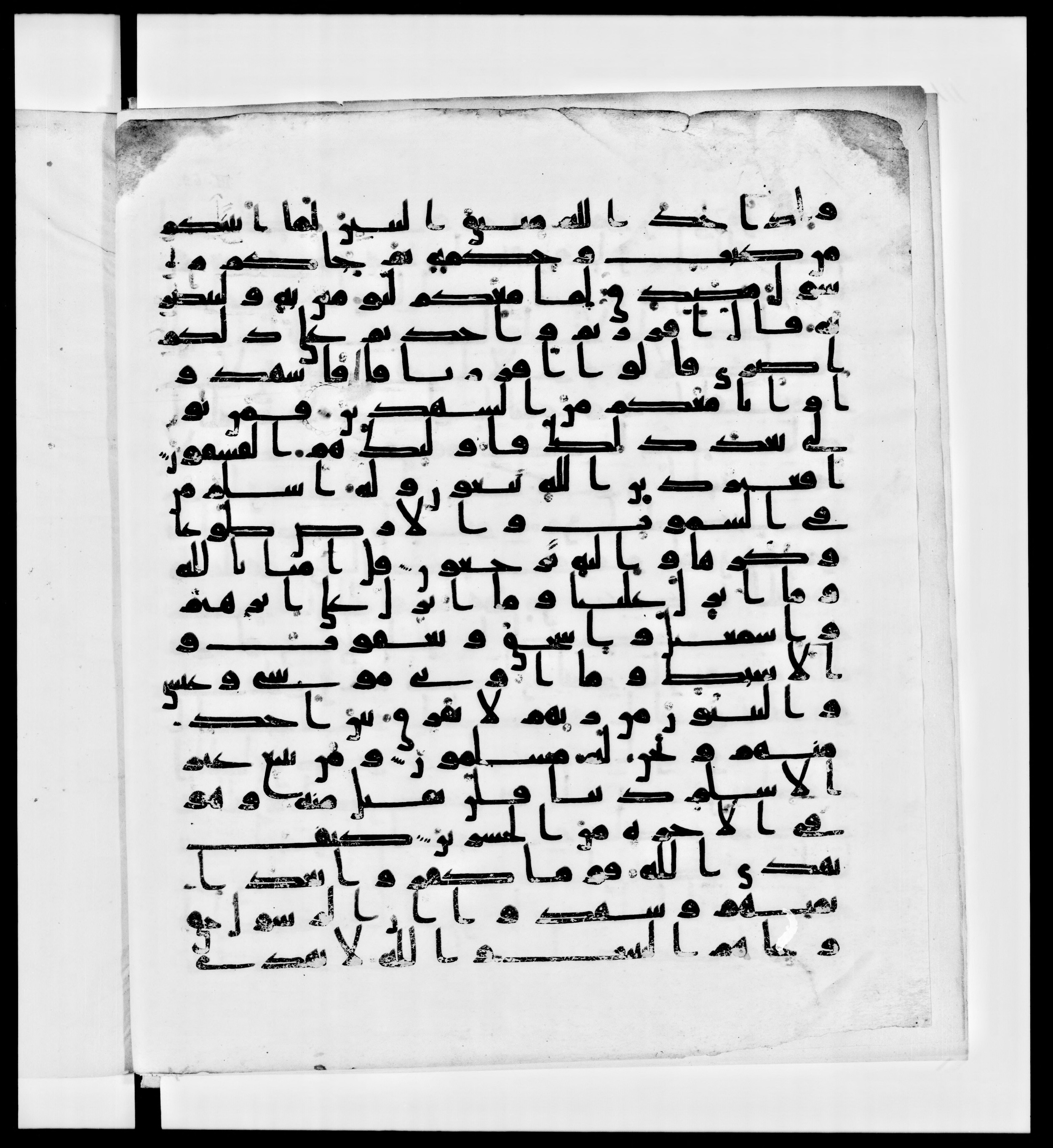 Paris, Bibliothèque nationale de France, Arabe 336, in Kūfī D.IV script, showing Surah 3:82 from Mid 8th to Late 10th Century AD found in Fustat (Old Cairo), Egypt, currently housed at Bibliothèque nationale de France, Paris