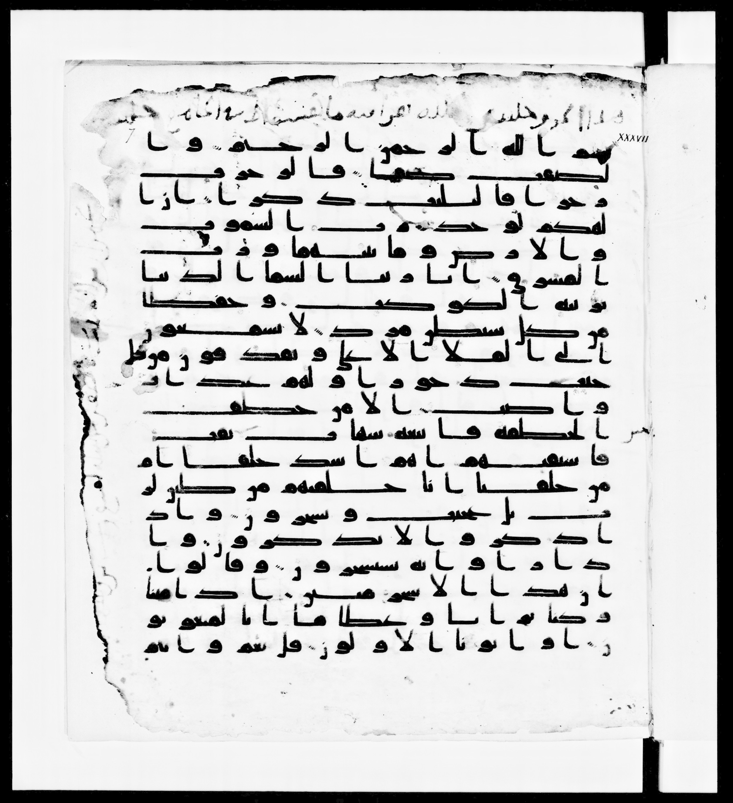 Paris, Bibliothèque nationale de France, Arabe 336, in Kūfī D.IV script, showing Surah 37:13 from Mid 8th to Late 10th Century AD found in Fustat (Old Cairo), Egypt, currently housed at Bibliothèque nationale de France, Paris