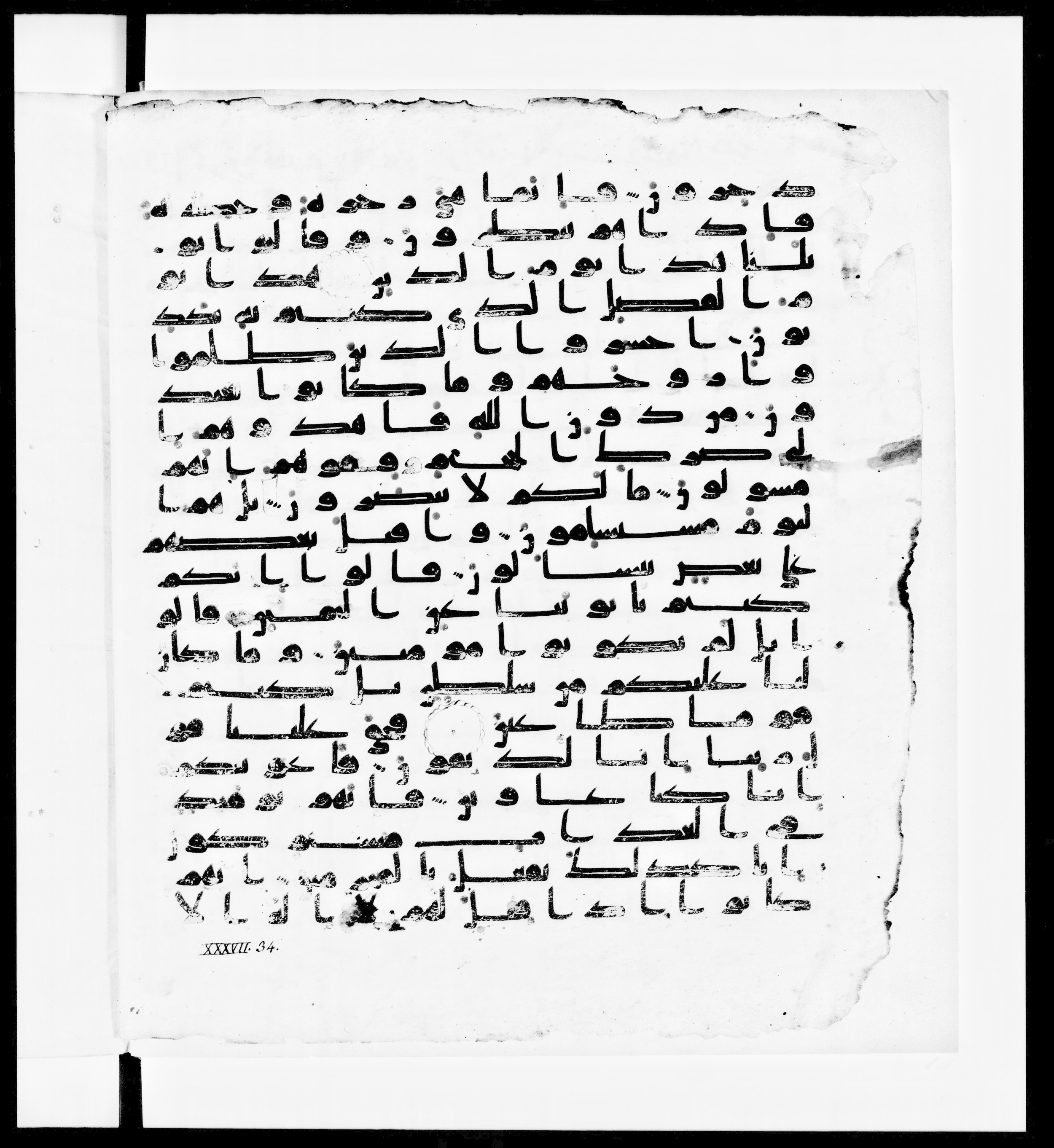 Paris, Bibliothèque nationale de France, Arabe 336, in Kūfī D.IV script, showing Surah 37:32 from Mid 8th to Late 10th Century AD found in Fustat (Old Cairo), Egypt, currently housed at Bibliothèque nationale de France, Paris
