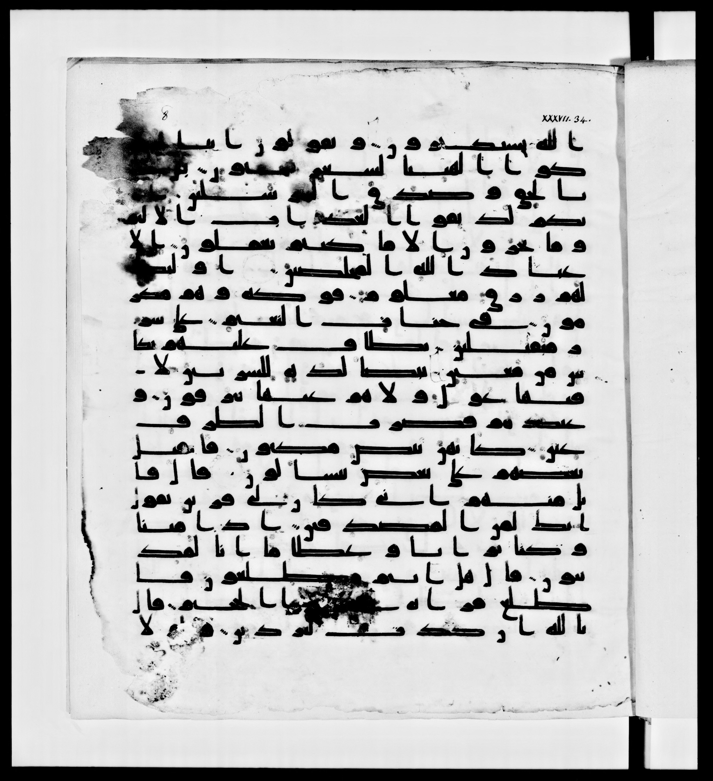 Paris, Bibliothèque nationale de France, Arabe 336, in Kūfī D.IV script, showing Surah 37:49 from Mid 8th to Late 10th Century AD found in Fustat (Old Cairo), Egypt, currently housed at Bibliothèque nationale de France, Paris