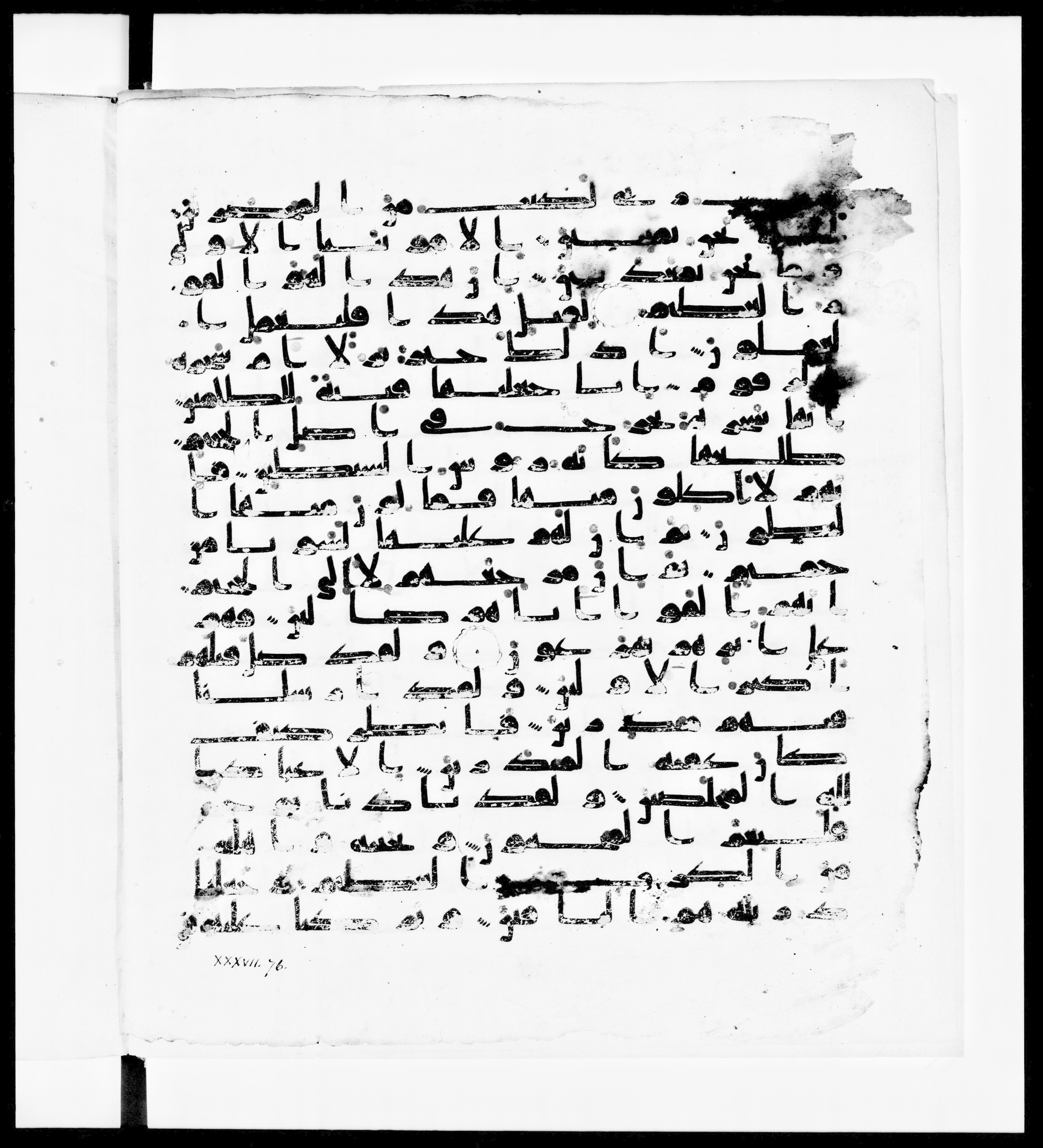 Paris, Bibliothèque nationale de France, Arabe 336, in Kūfī D.IV script, showing Surah 37:71 from Mid 8th to Late 10th Century AD found in Fustat (Old Cairo), Egypt, currently housed at Bibliothèque nationale de France, Paris