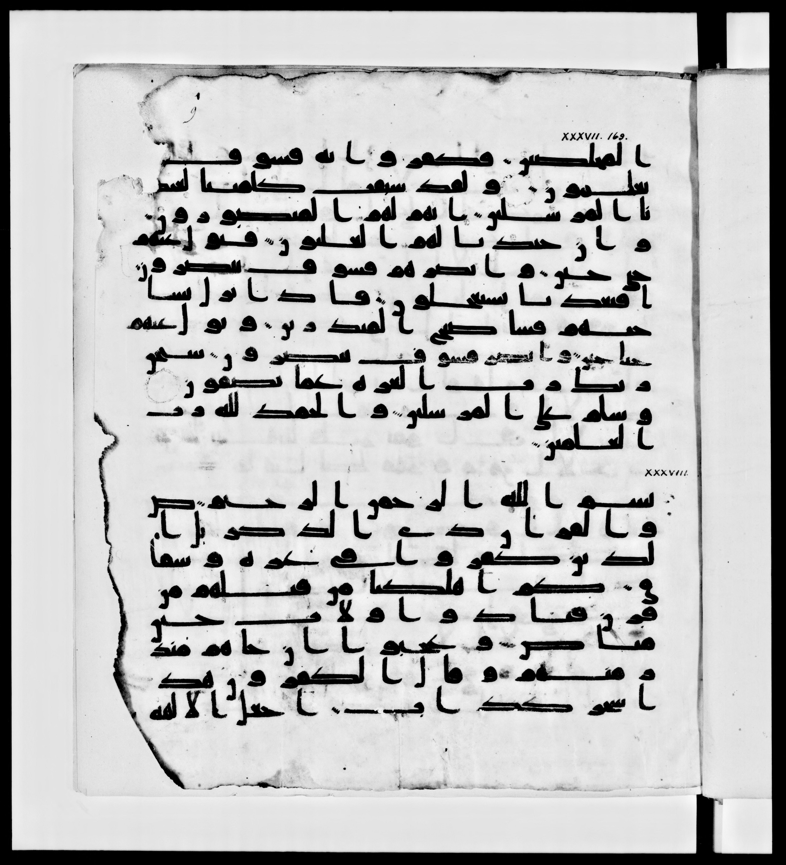 Paris, Bibliothèque nationale de France, Arabe 336, in Kūfī D.IV script, showing Surah 37:175 from Mid 8th to Late 10th Century AD found in Fustat (Old Cairo), Egypt, currently housed at Bibliothèque nationale de France, Paris
