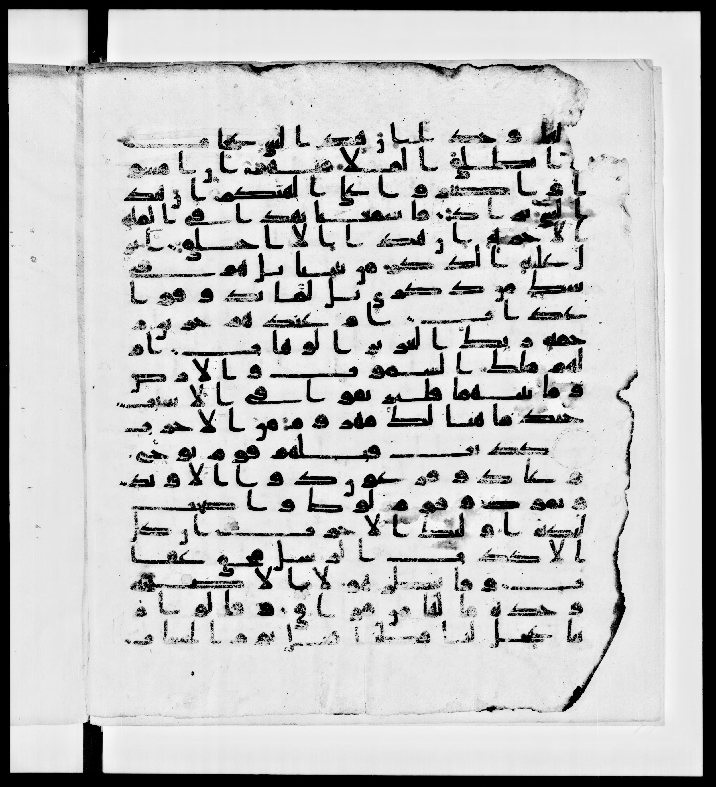 Paris, Bibliothèque nationale de France, Arabe 336, in Kūfī D.IV script, showing Surah 38:13 from Mid 8th to Late 10th Century AD found in Fustat (Old Cairo), Egypt, currently housed at Bibliothèque nationale de France, Paris