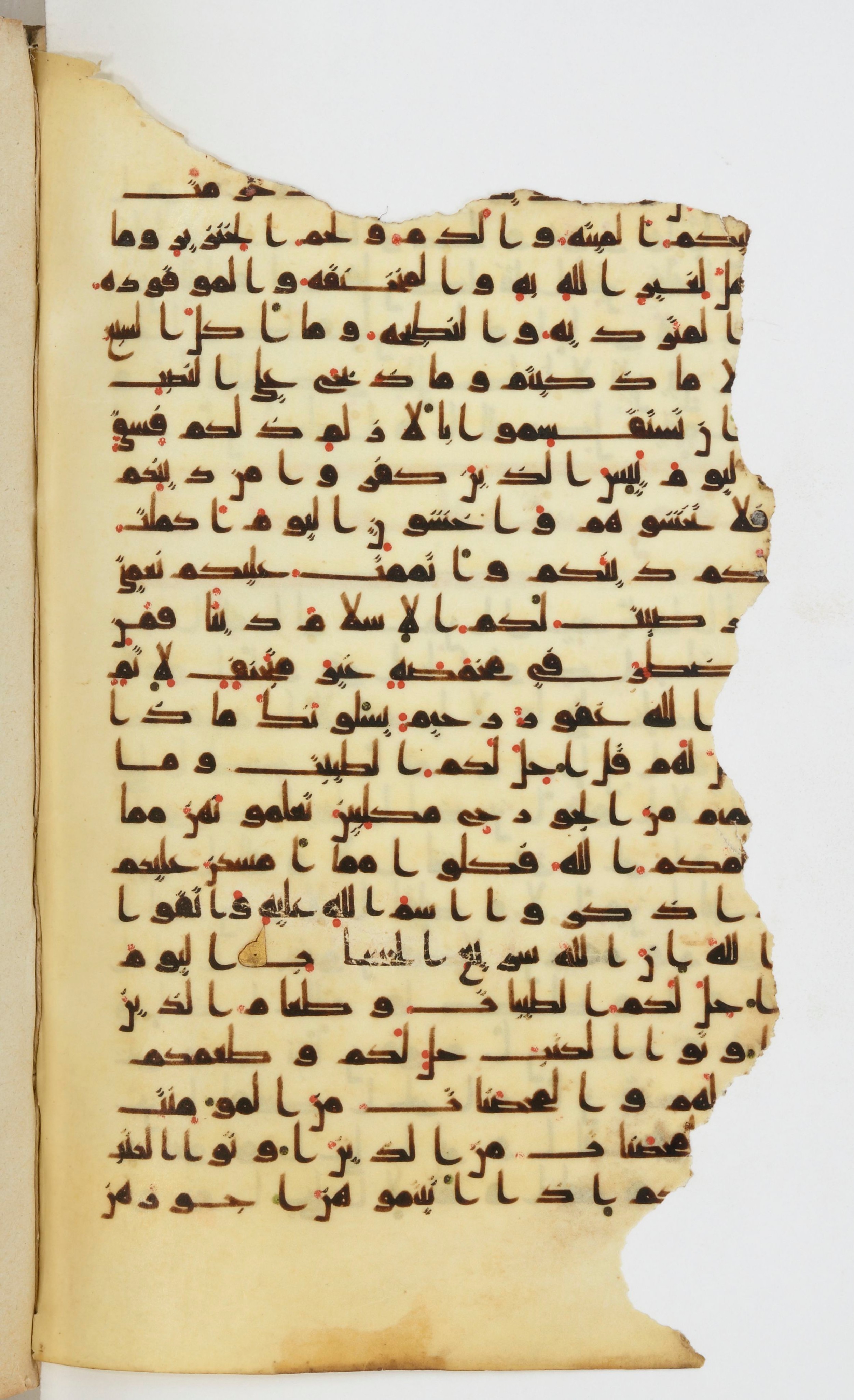 Bibliothèque nationale de France, Arabe 339 (Scan 2), in Kufic D.I script, showing Surah 5:2 from 8th to 10th Century AD found in Fustat, Egypt, currently housed at Bibliothèque nationale de France, Paris