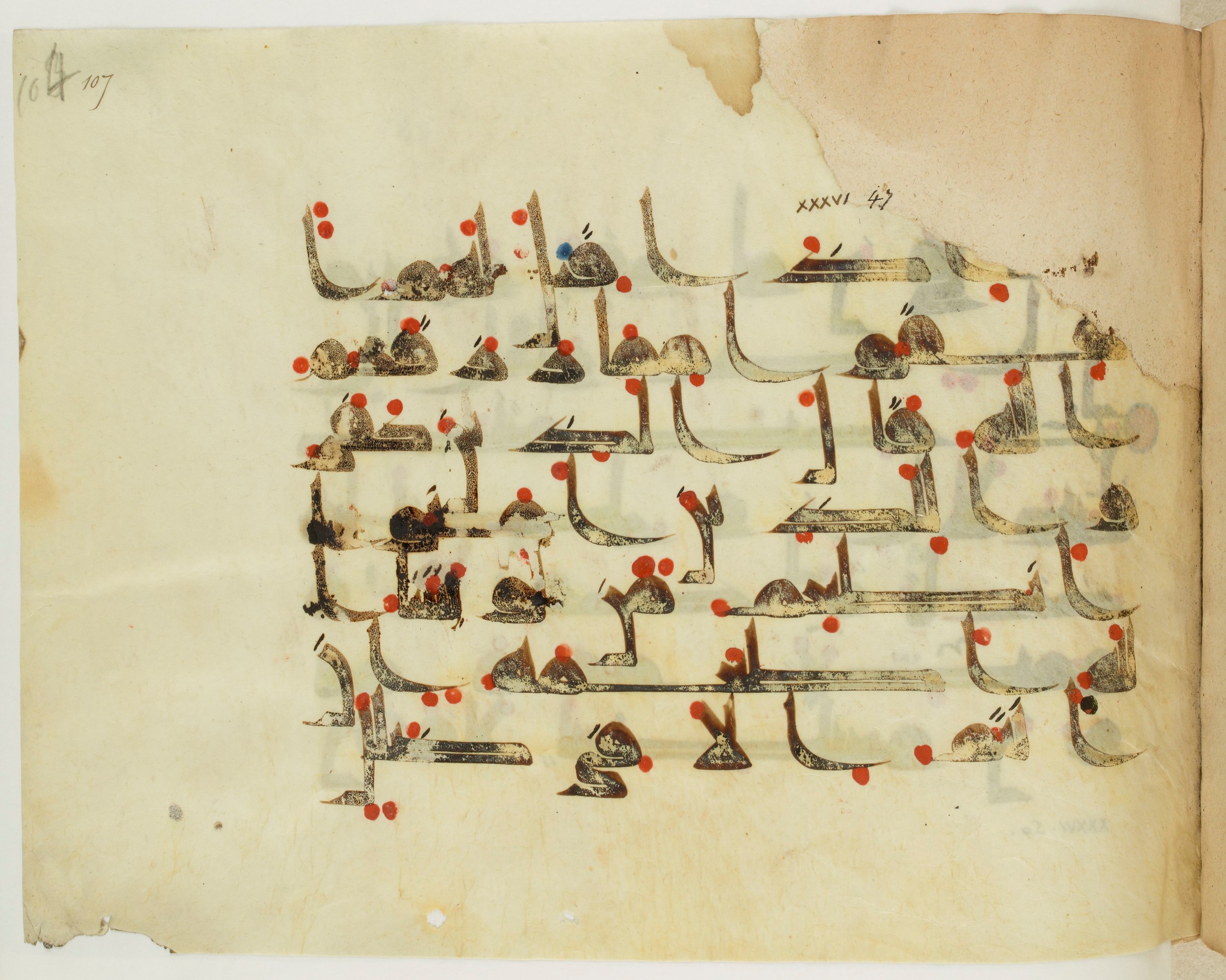 Paris, Bibliothèque nationale de France, Arabe 341 (a) (Scan 1), in Kufic D.III script, showing Surah 36:47 from Mid 8th to Late 10th Century AD found in Fustat (Old Cairo), Egypt, currently housed at Bibliothèque nationale de France, Paris