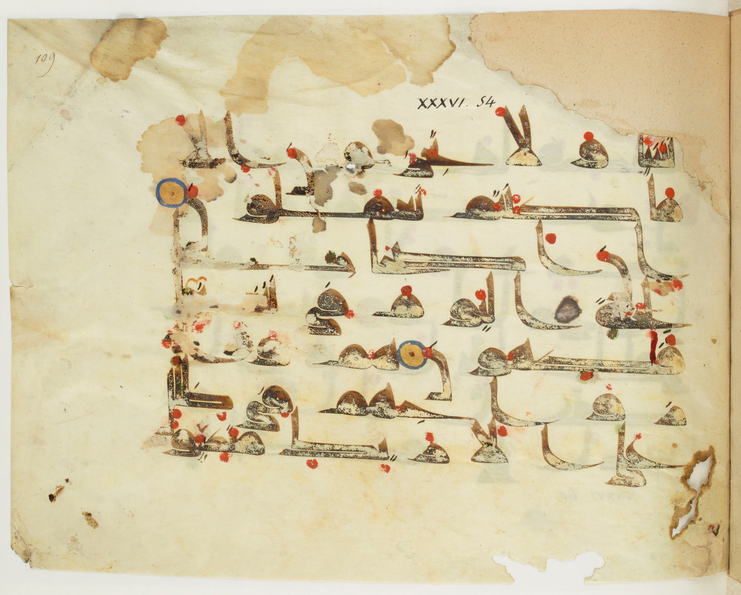 Paris, Bibliothèque nationale de France, Arabe 341 (a), in Kufic D.III script, showing Surah 36:55 from Mid 8th to Late 10th Century AD found in Fustat (Old Cairo), Egypt, currently housed at Bibliothèque nationale de France, Paris