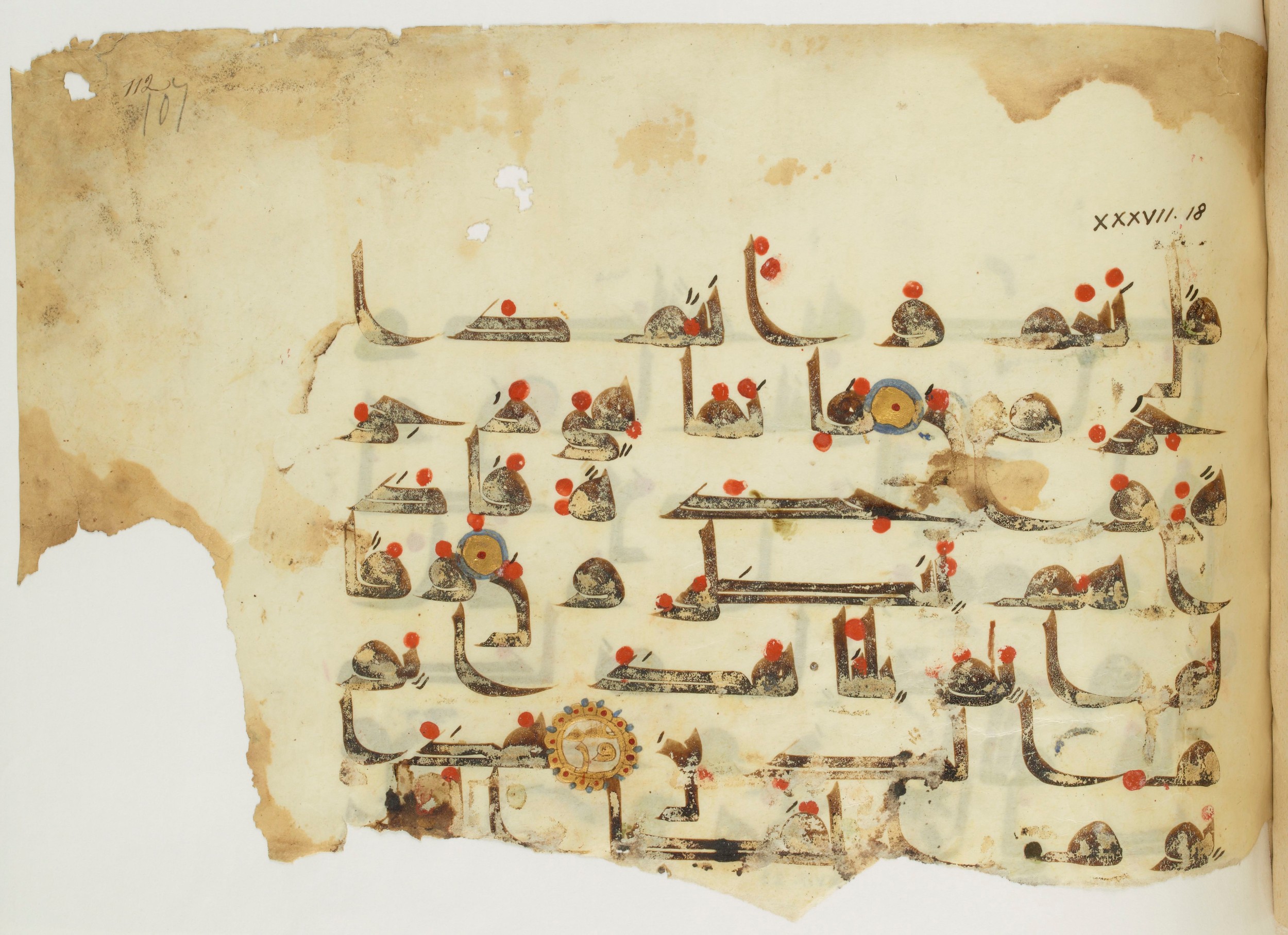 Paris, Bibliothèque nationale de France, Arabe 341 (a) (Scan 1), in Kufic D.III script, showing Surah 37:21 from Mid 8th to Late 10th Century AD found in Fustat (Old Cairo), Egypt, currently housed at Bibliothèque nationale de France, Paris