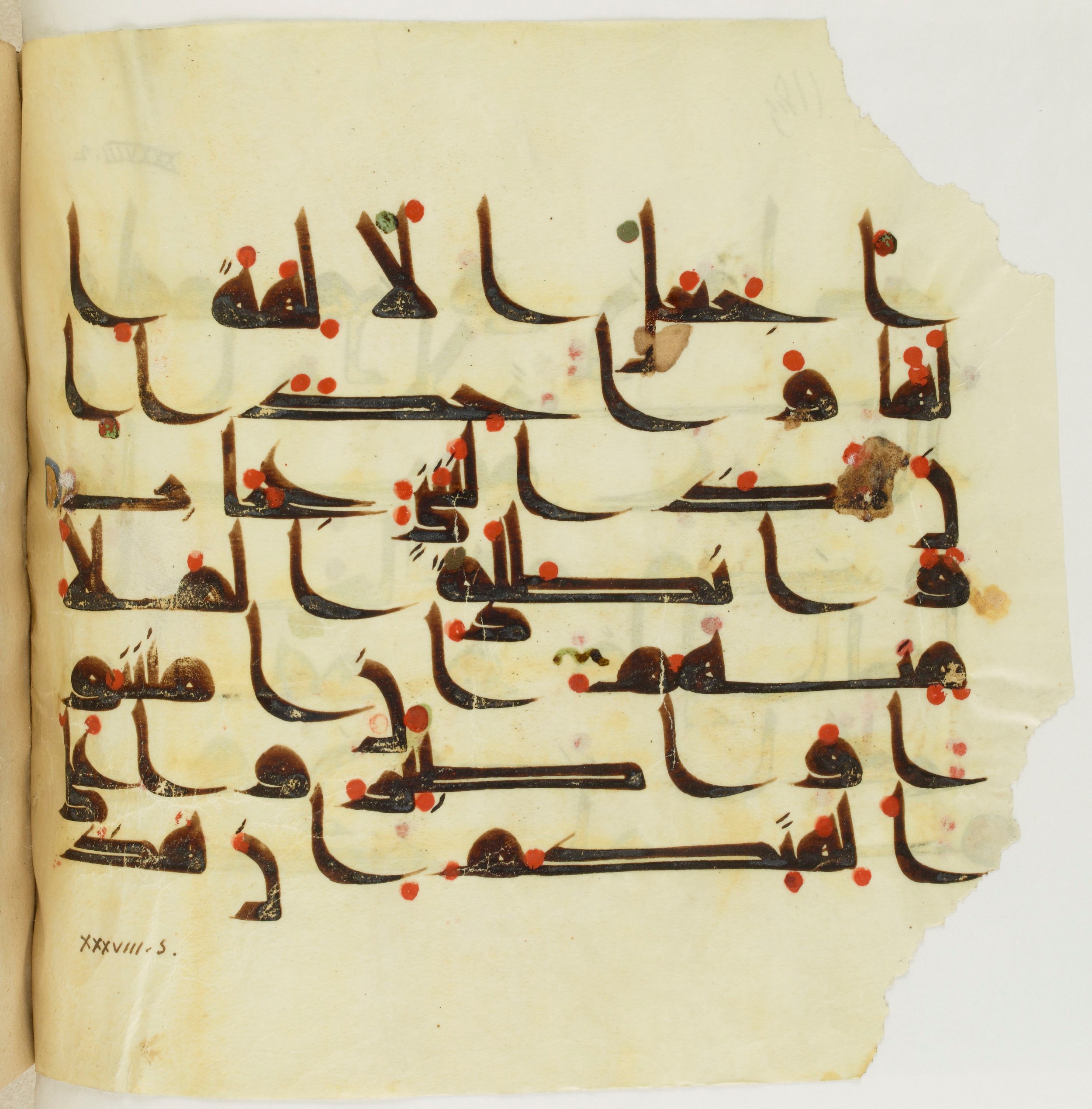 Paris, Bibliothèque nationale de France, Arabe 341 (a), in Kufic D.III script, showing Surah 38:5 from Mid 8th to Late 10th Century AD found in Fustat (Old Cairo), Egypt, currently housed at Bibliothèque nationale de France, Paris