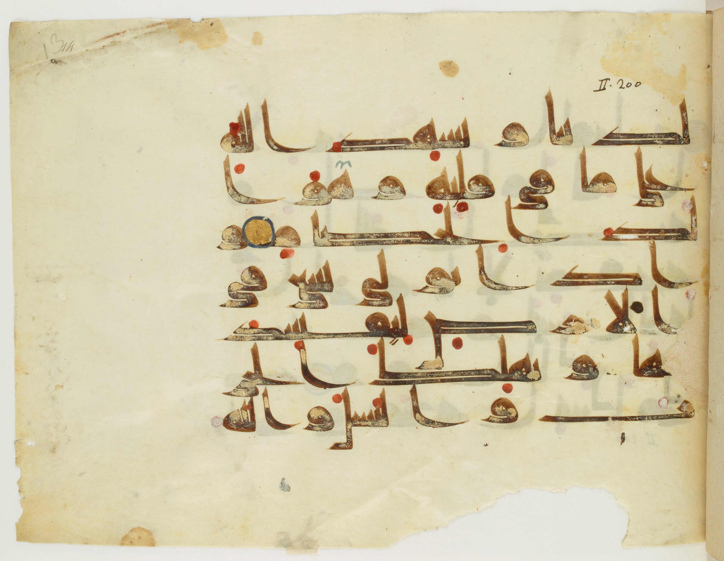 Paris, Bibliothèque nationale de France, Arabe 341 (a) (Scan 1), in Kufic D.III script, showing Surah 2:205 from Mid 8th to Late 10th Century AD found in Fustat (Old Cairo), Egypt, currently housed at Bibliothèque nationale de France, Paris