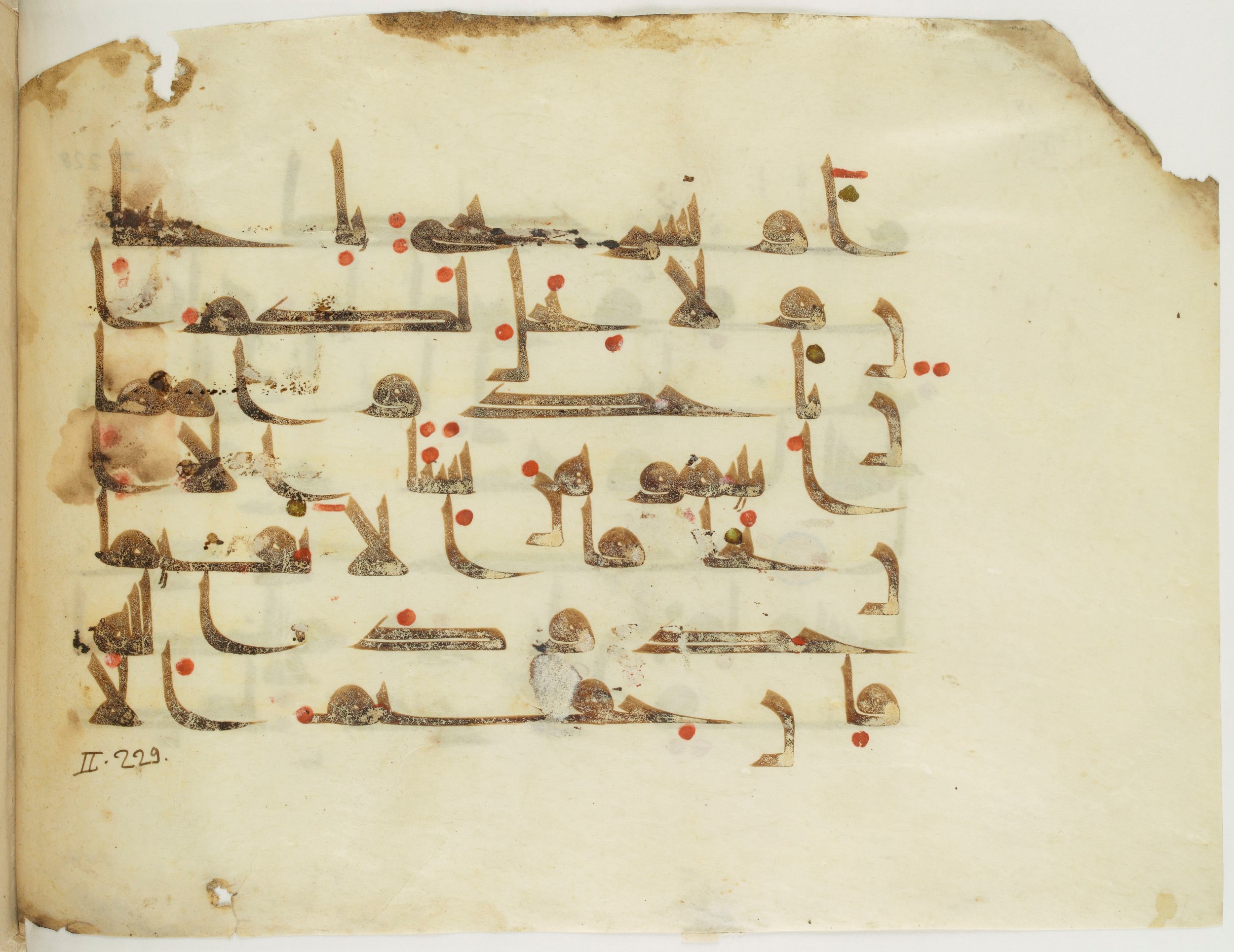 Paris, Bibliothèque nationale de France, Arabe 341 (a) (Scan 2), in Kufic D.III script, showing Surah 2:229 from Mid 8th to Late 10th Century AD found in Fustat (Old Cairo), Egypt, currently housed at Bibliothèque nationale de France, Paris