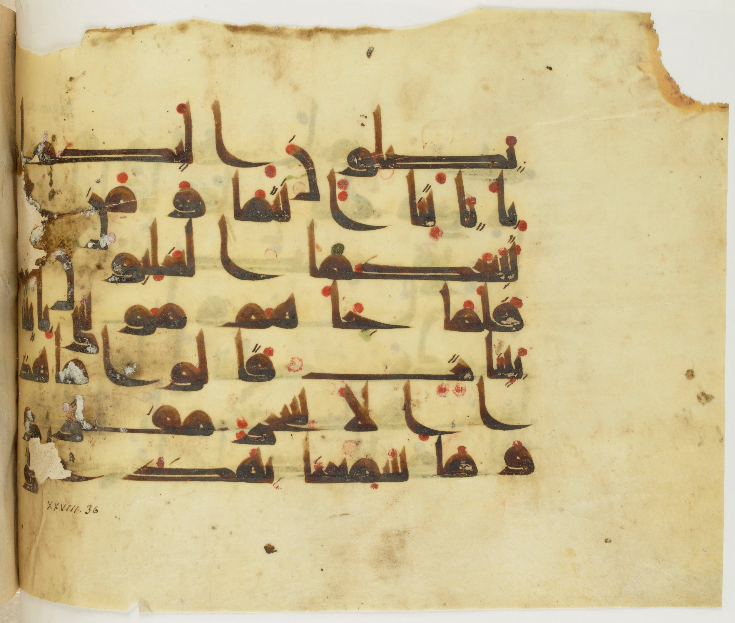 Paris, Bibliothèque nationale de France, Arabe 341 (a) (Scan 2), in Kufic D.III script, showing Surah 28:35 from Mid 8th to Late 10th Century AD found in Fustat (Old Cairo), Egypt, currently housed at Bibliothèque nationale de France, Paris