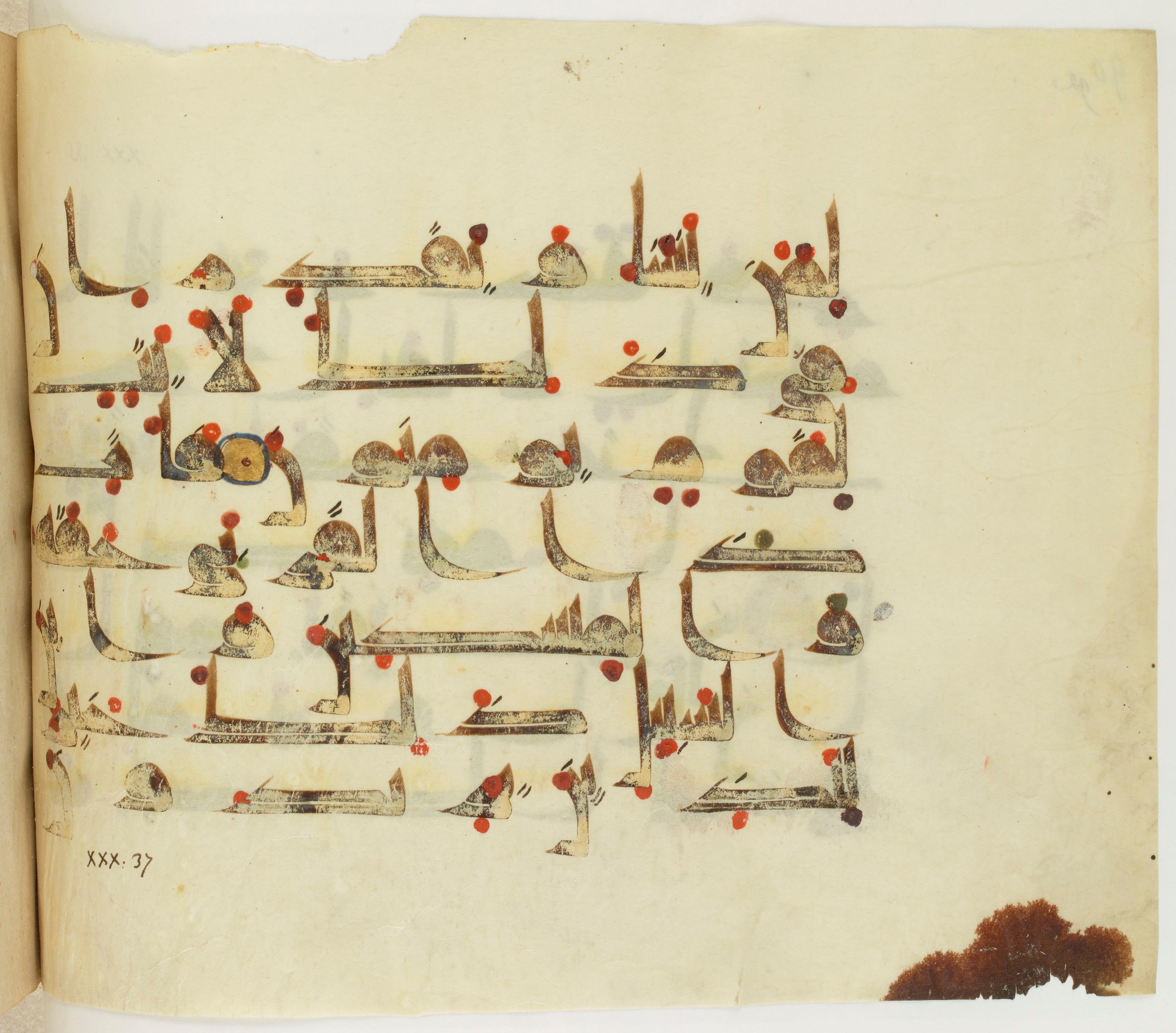 Paris, Bibliothèque nationale de France, Arabe 341 (a) (Scan 2), in Kufic D.III script, showing Surah 30:37 from Mid 8th to Late 10th Century AD found in Fustat (Old Cairo), Egypt, currently housed at Bibliothèque nationale de France, Paris