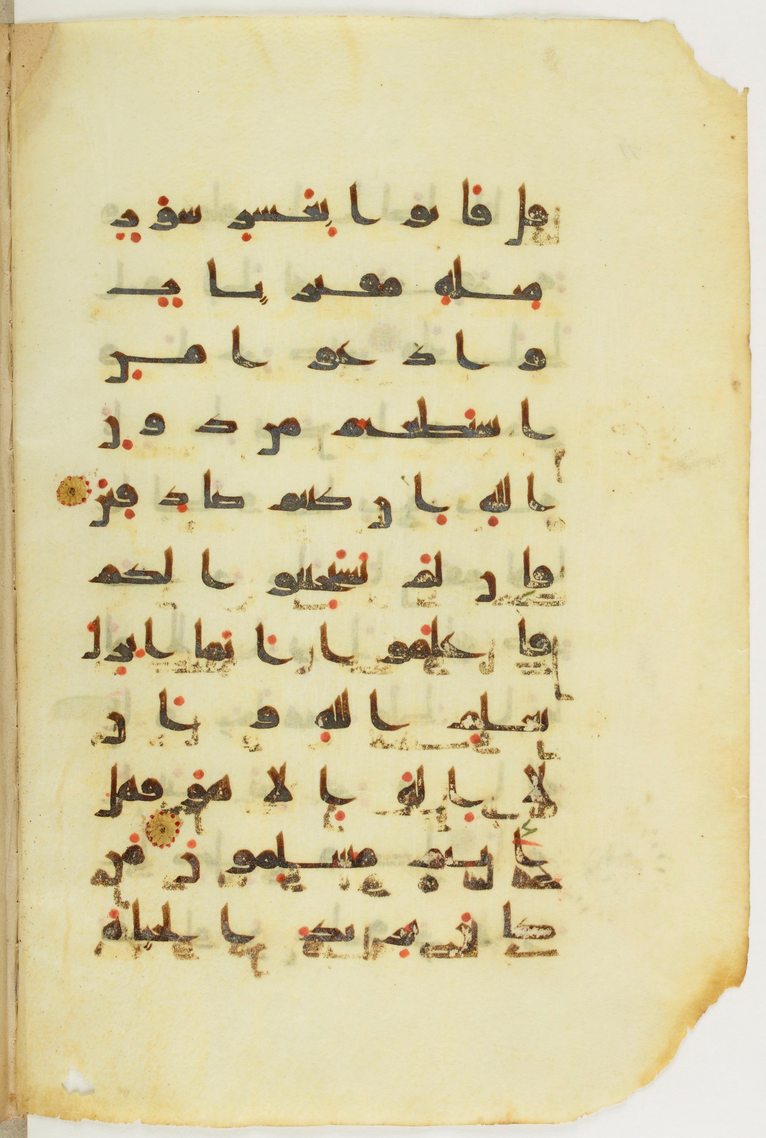Paris, Bibliothèque nationale de France, Arabe 342 (a), in kūfī D.Va script, showing Surah 11:14 from Mid 8th to Late 10th Century AD found in Fustat (Old Cairo), Egypt, currently housed at Bibliothèque nationale de France, Paris