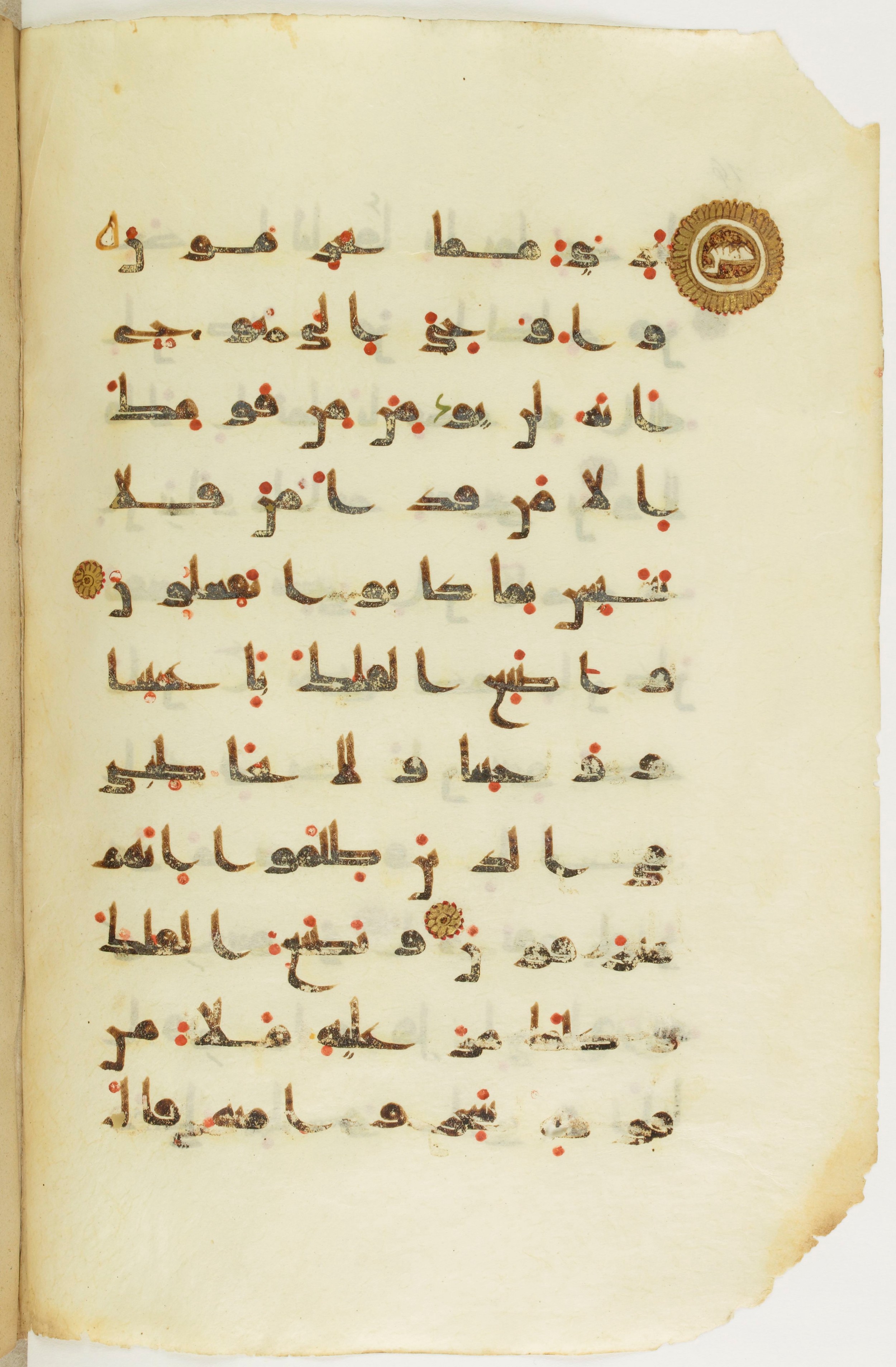 Paris, Bibliothèque nationale de France, Arabe 342 (a) (Scan 2), in kūfī D.Va script, showing Surah 11:35 from Mid 8th to Late 10th Century AD found in Fustat (Old Cairo), Egypt, currently housed at Bibliothèque nationale de France, Paris