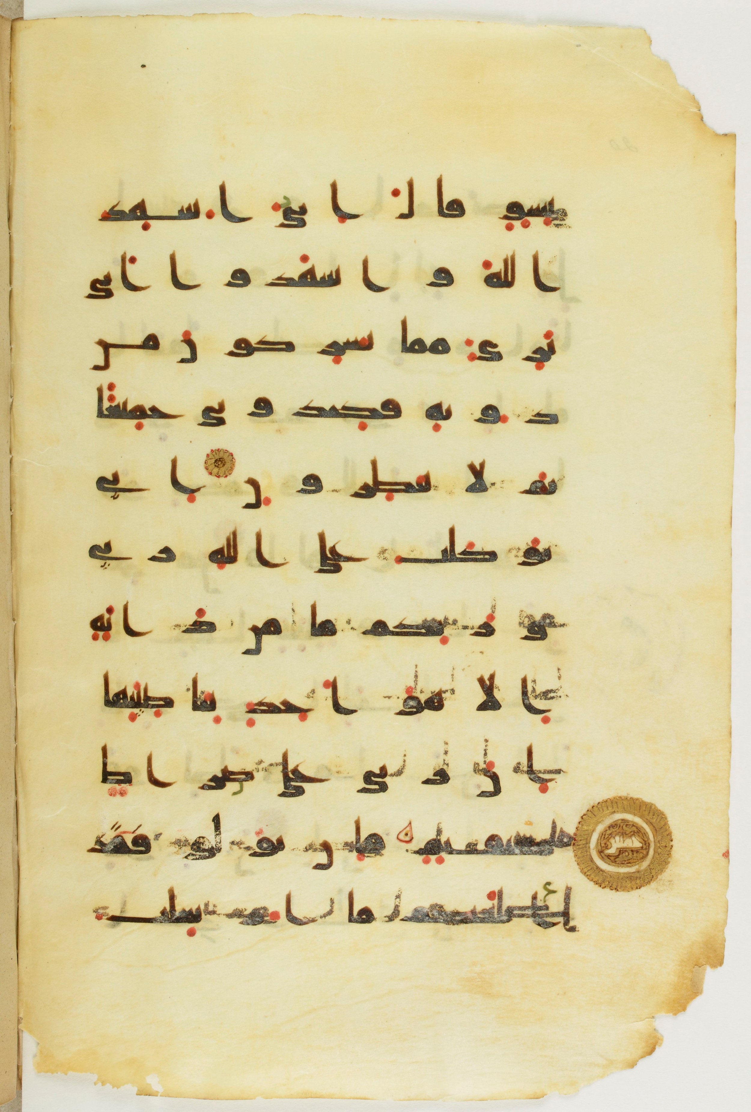 Paris, Bibliothèque nationale de France, Arabe 342 (a), in kūfī D.Va script, showing Surah 11:56 from Mid 8th to Late 10th Century AD found in Fustat (Old Cairo), Egypt, currently housed at Bibliothèque nationale de France, Paris