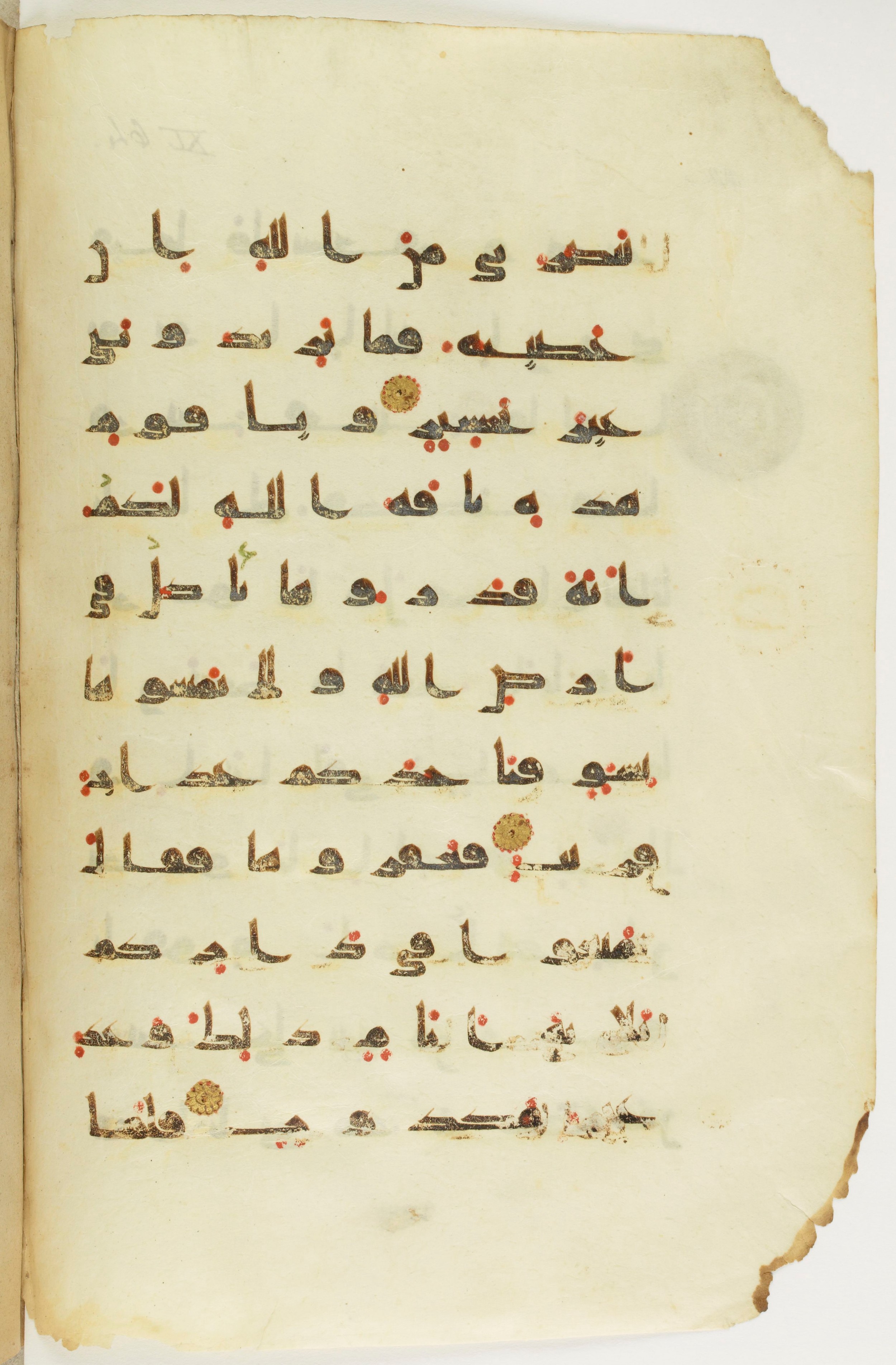 Paris, Bibliothèque nationale de France, Arabe 342 (a) (Scan 2), in kūfī D.Va script, showing Surah 11:63 from Mid 8th to Late 10th Century AD found in Fustat (Old Cairo), Egypt, currently housed at Bibliothèque nationale de France, Paris