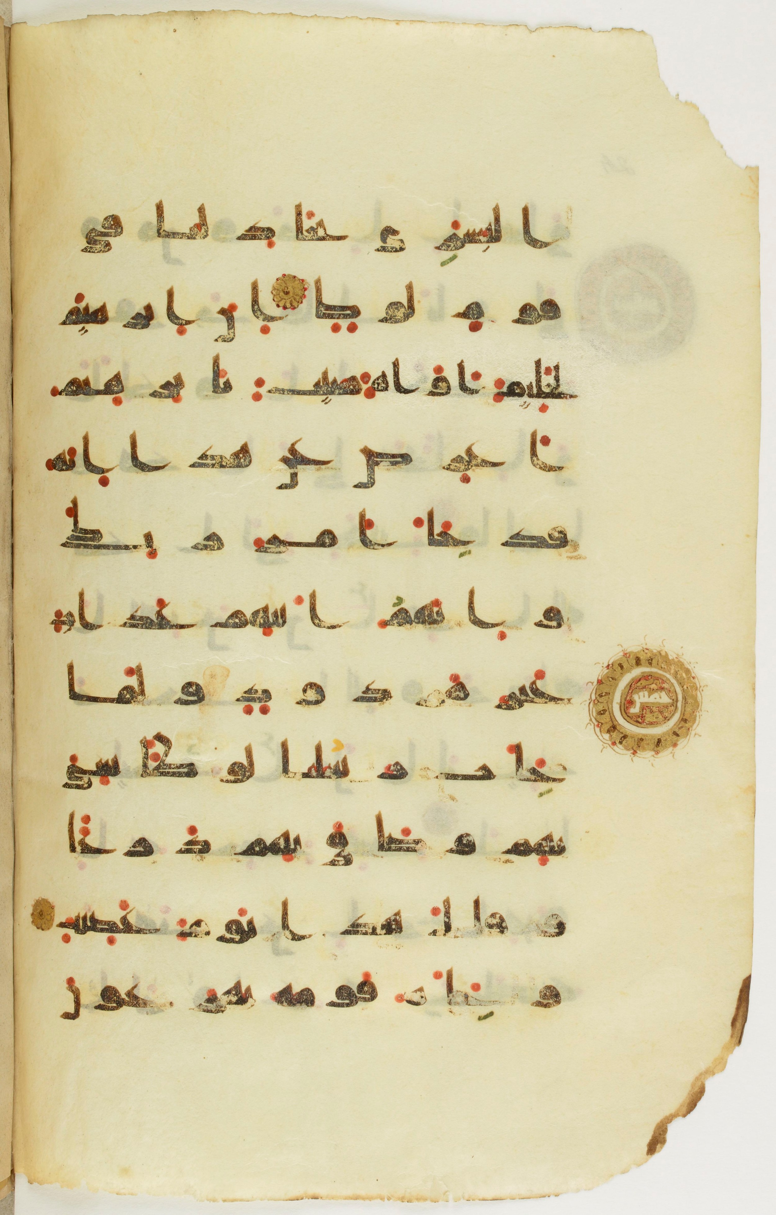 Paris, Bibliothèque nationale de France, Arabe 342 (a), in kūfī D.Va script, showing Surah 11:76 from Mid 8th to Late 10th Century AD found in Fustat (Old Cairo), Egypt, currently housed at Bibliothèque nationale de France, Paris