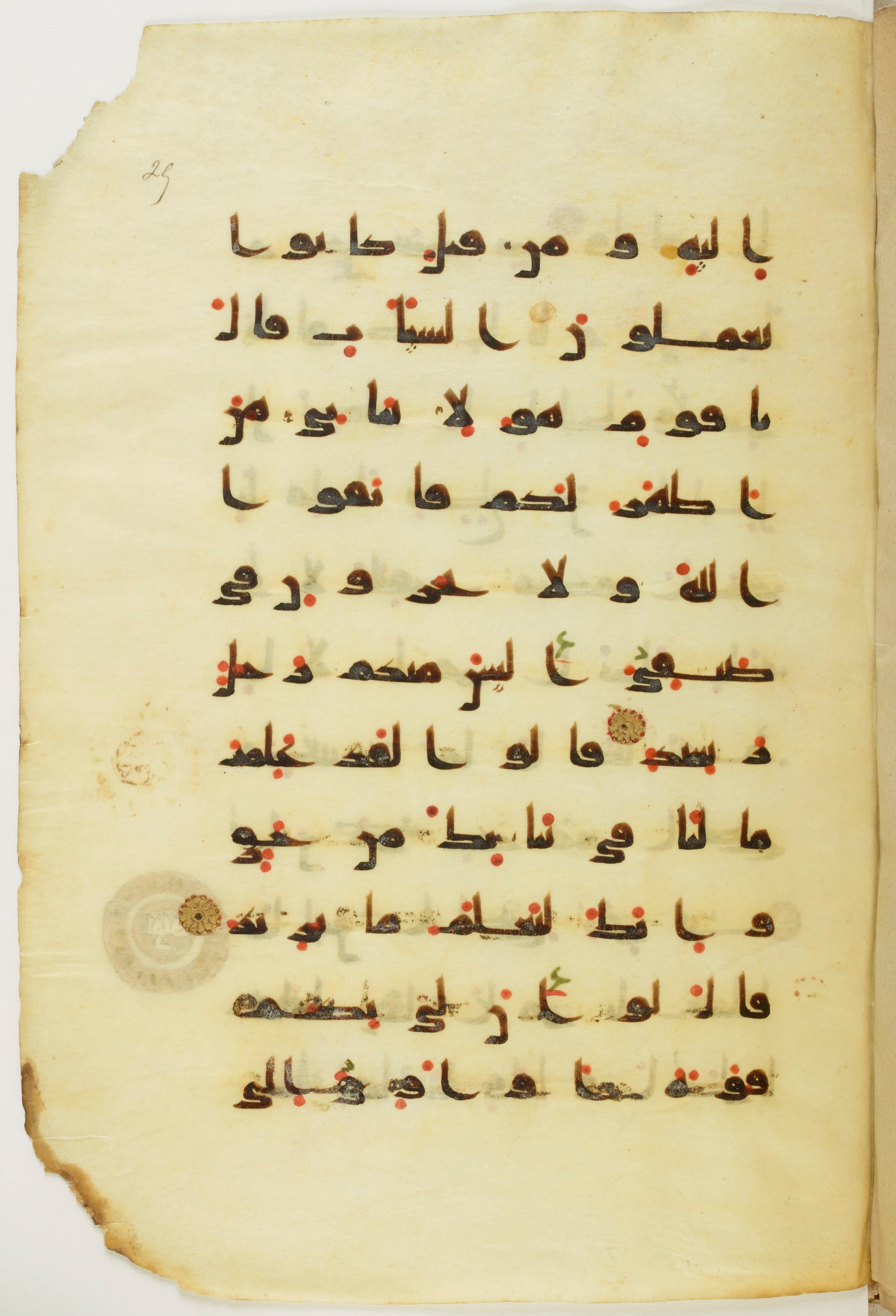 Paris, Bibliothèque nationale de France, Arabe 342 (a) (Scan 2), in kūfī D.Va script, showing Surah 11:78 from Mid 8th to Late 10th Century AD found in Fustat (Old Cairo), Egypt, currently housed at Bibliothèque nationale de France, Paris
