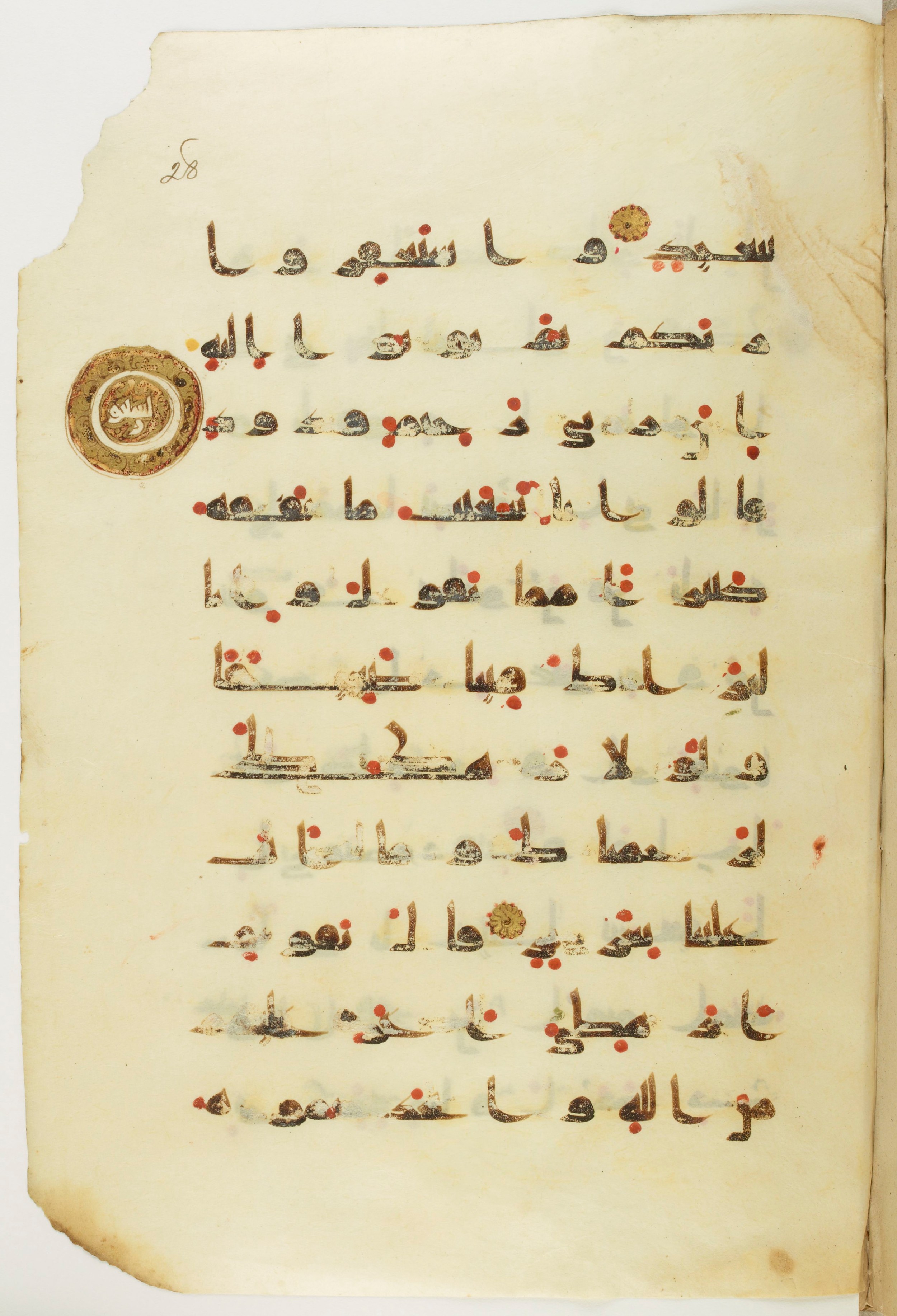 Paris, Bibliothèque nationale de France, Arabe 342 (a) (Scan 2), in kūfī D.Va script, showing Surah 11:89 from Mid 8th to Late 10th Century AD found in Fustat (Old Cairo), Egypt, currently housed at Bibliothèque nationale de France, Paris
