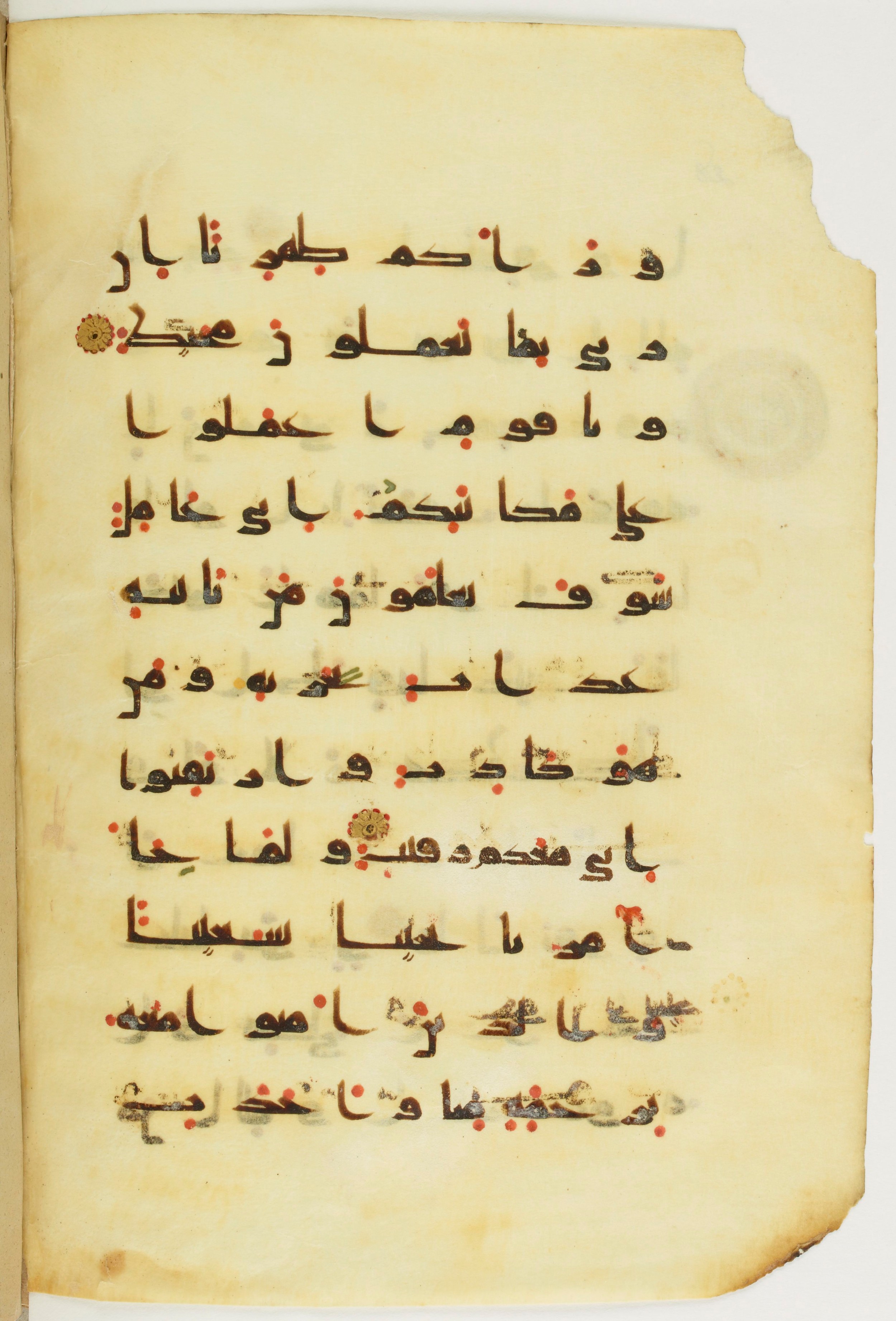 Paris, Bibliothèque nationale de France, Arabe 342 (a) (Scan 2), in kūfī D.Va script, showing Surah 11:92 from Mid 8th to Late 10th Century AD found in Fustat (Old Cairo), Egypt, currently housed at Bibliothèque nationale de France, Paris