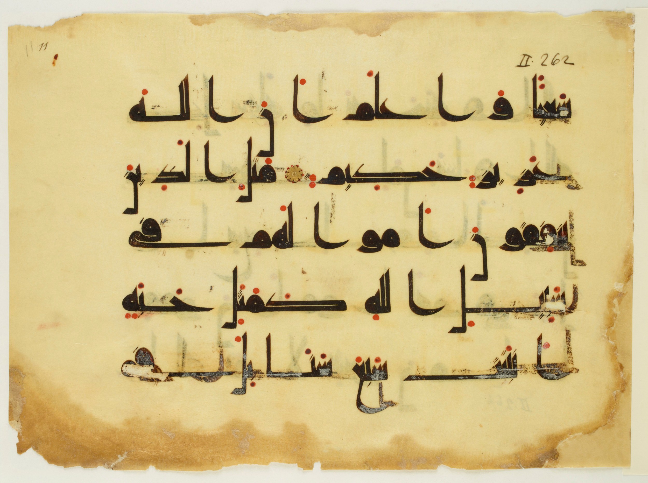 Paris, Bibliothèque nationale de France, Arabe 350 (a) (Scan 3), in Kūfī D.I script, showing Surah 2:260 from Mid 8th to Late 10th Century AD found in Fustat (Old Cairo), Egypt, currently housed at Bibliothèque nationale de France, Paris